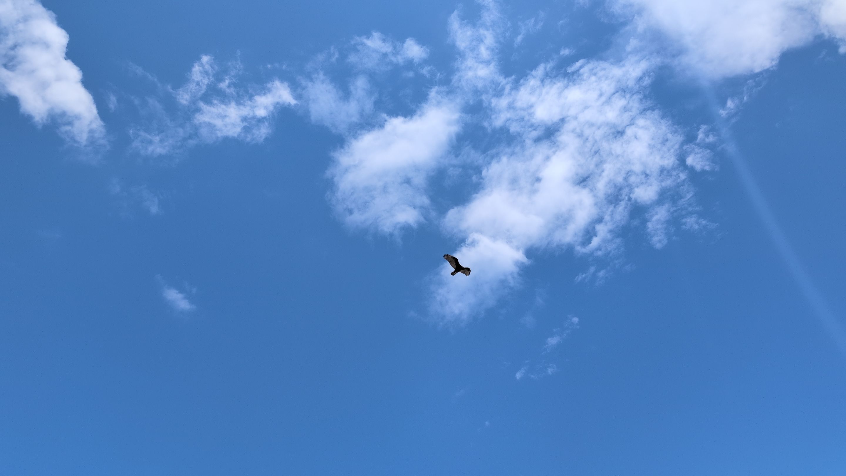 IMG_20250817_130650.jpg