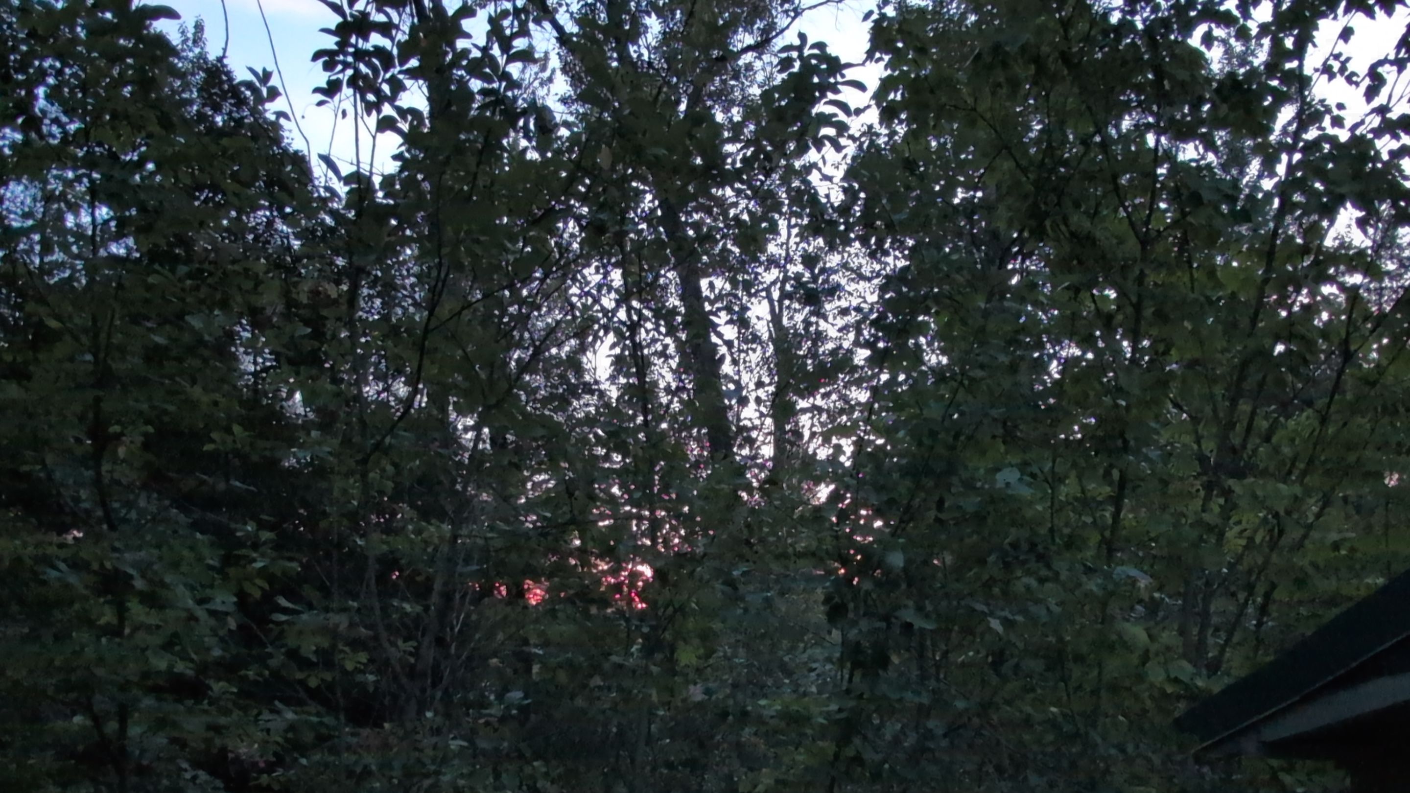 IMG_20250811_051834.jpg