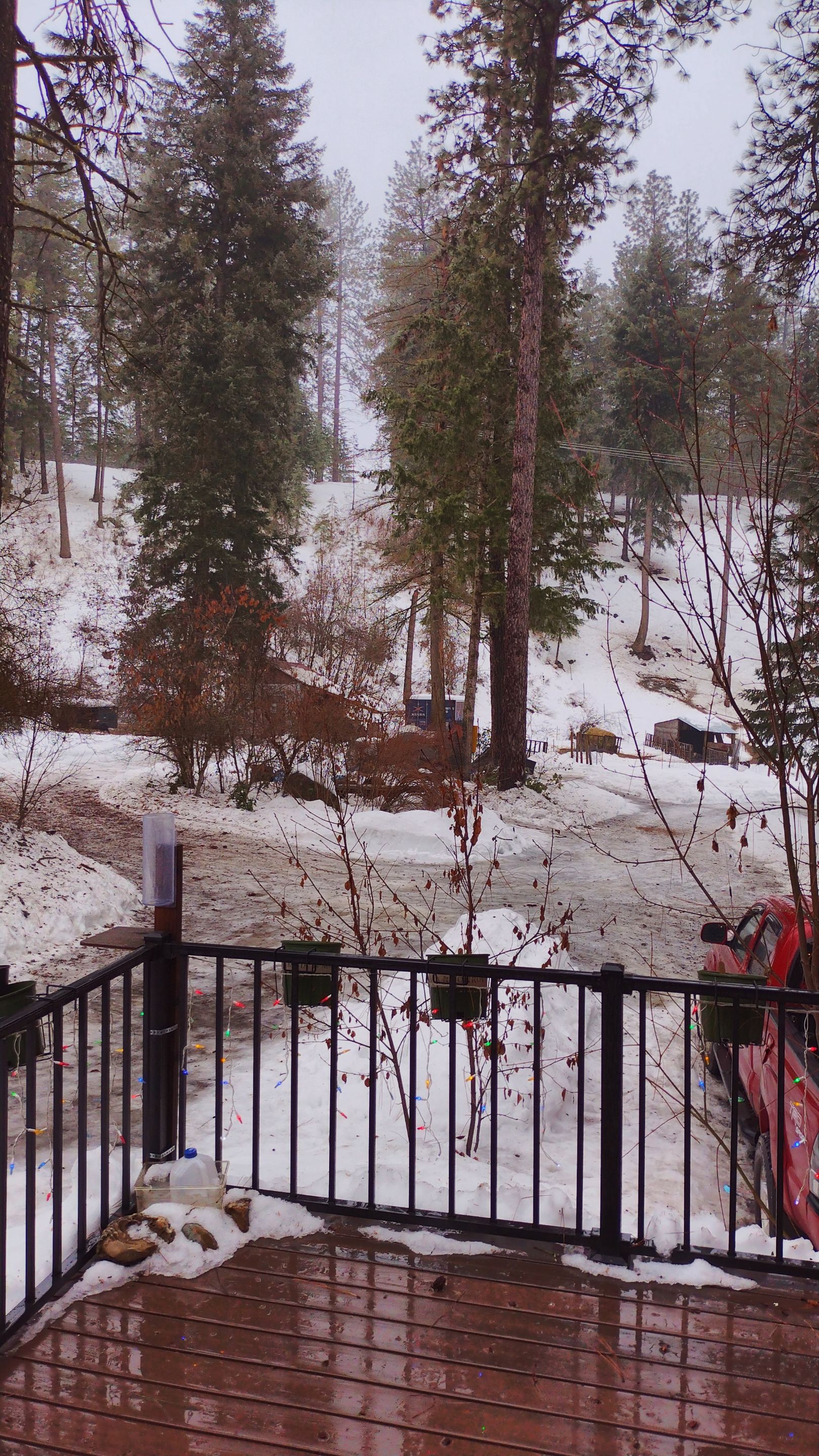 IMG_20230109_142154_HDR.jpg