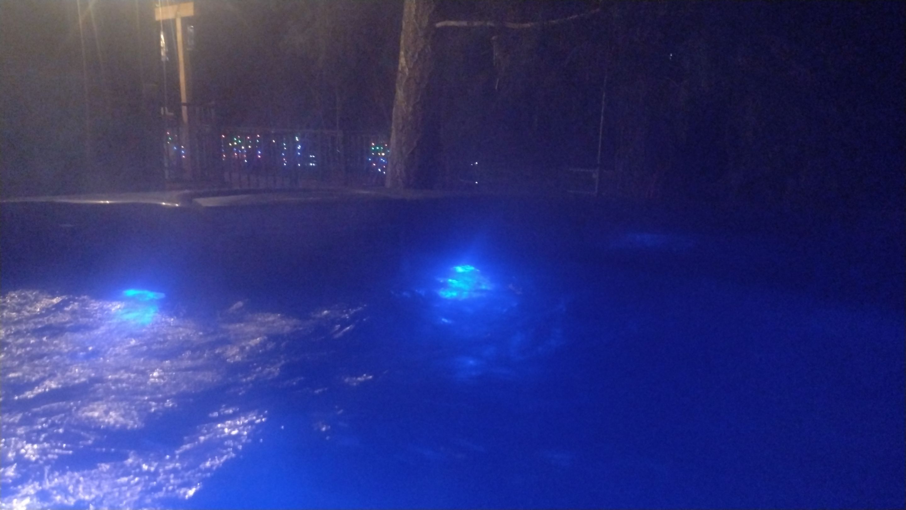 IMG_20250126_202153.jpg