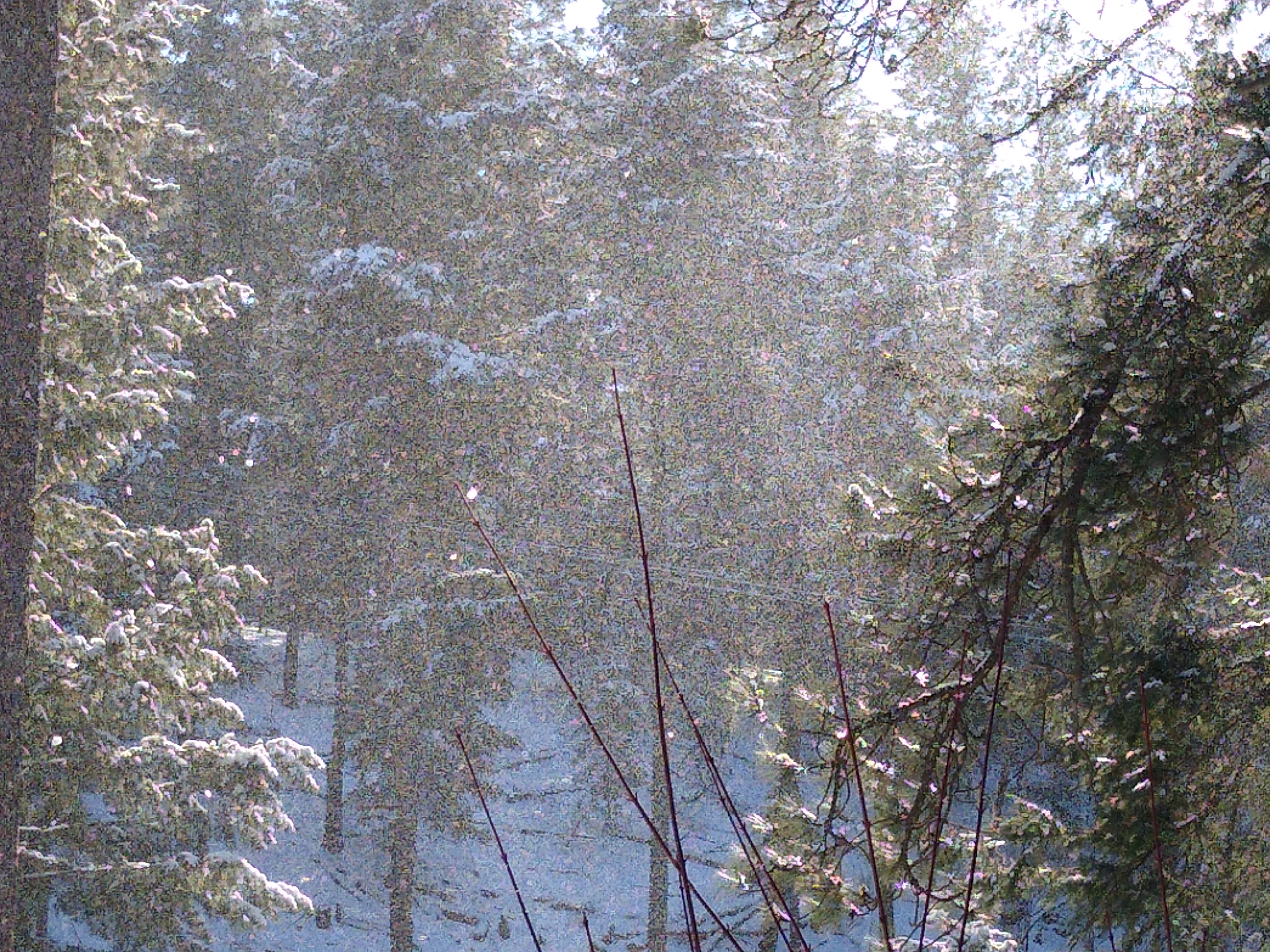 IMG_20210217_141716.jpg