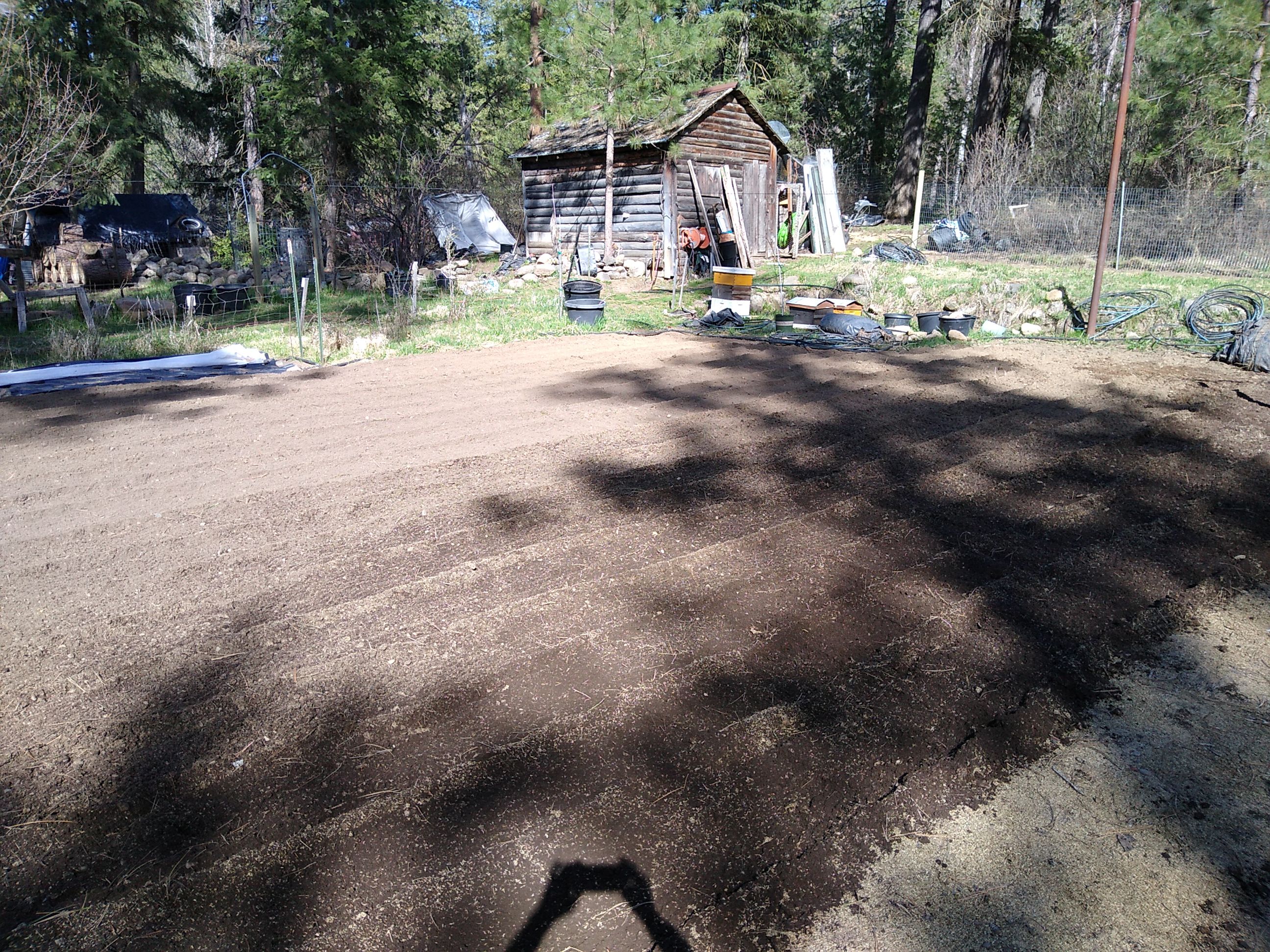 IMG_20220413_155525.jpg