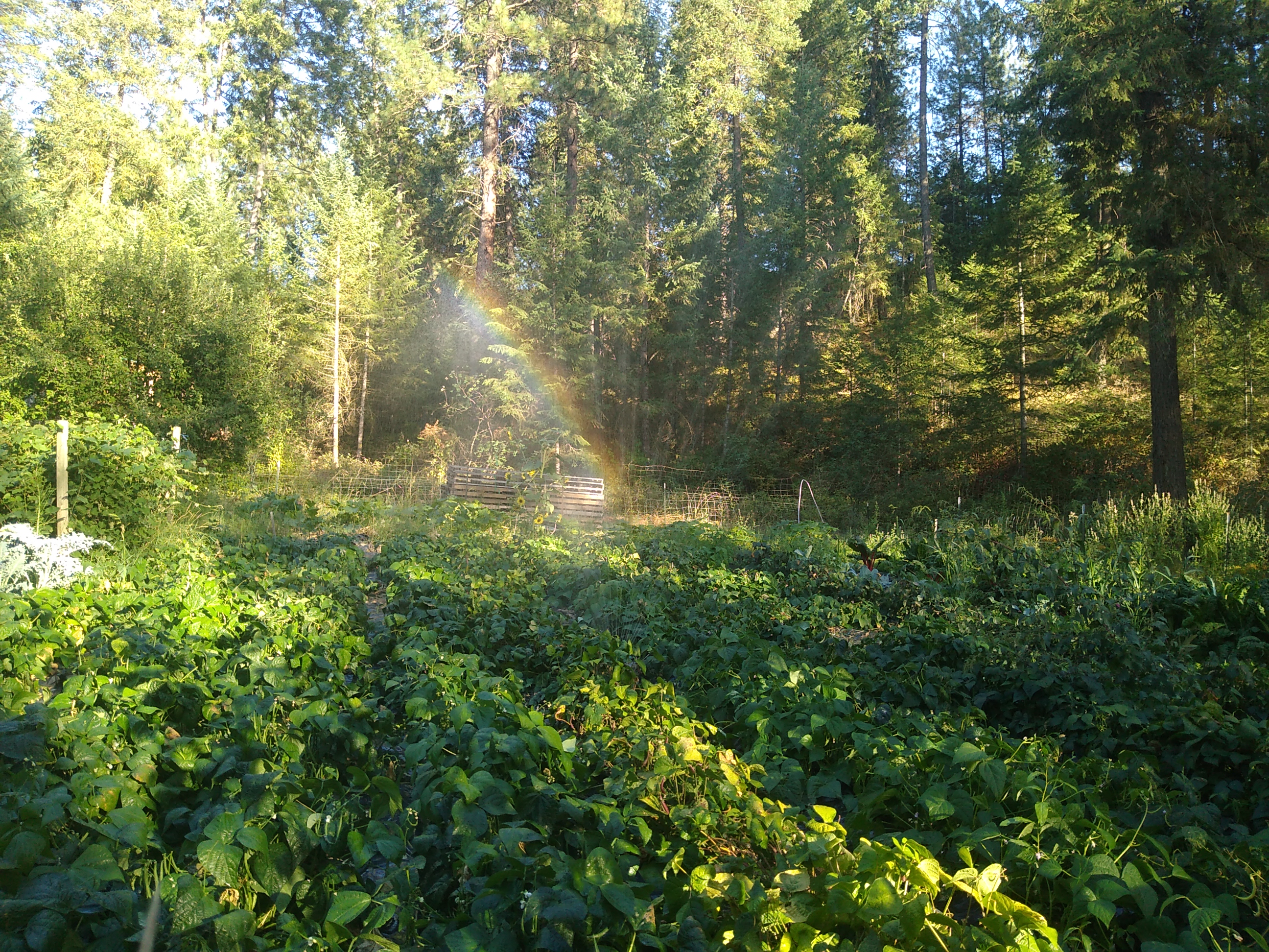IMG_20200825_180533.jpg