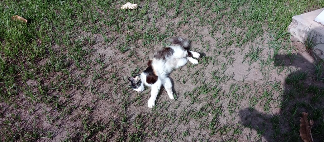 Imagen de WhatsApp 2025-08-27 a las 14.36.03_78ca08cf.jpg