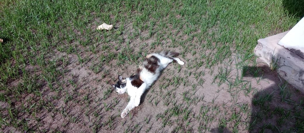 Imagen de WhatsApp 2025-08-27 a las 14.36.03_54857990.jpg