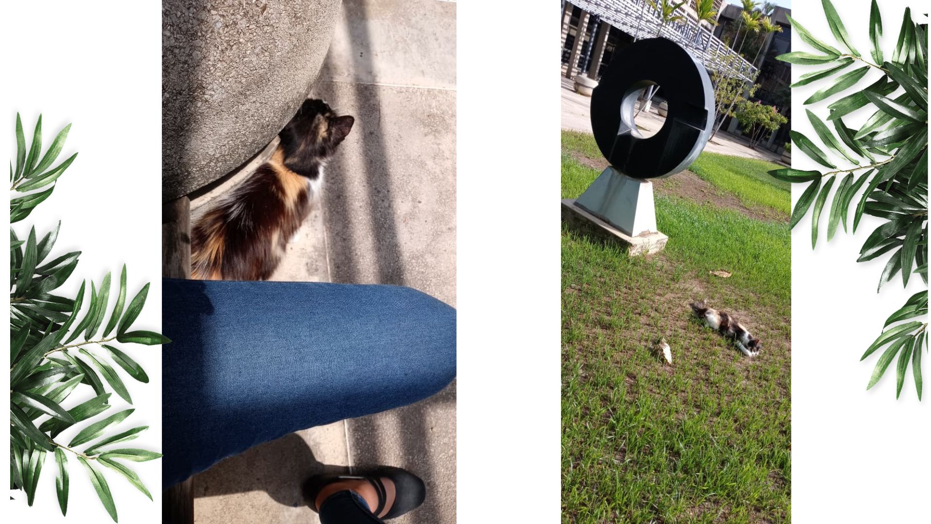 Diseño sin título.jpg