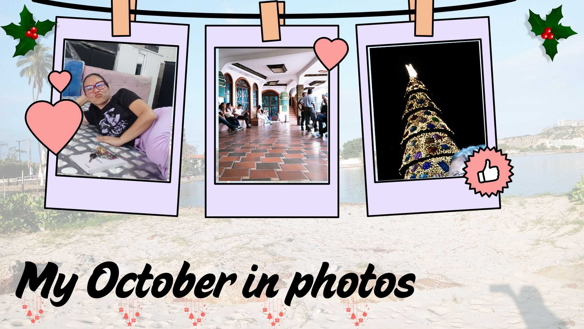 My November in photos.jpg