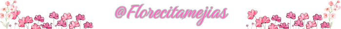 @Florecitamejias (1).png