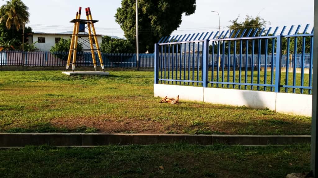 Imagen de WhatsApp 2025-10-06 a las 14.31.43_cbad3eed.jpg