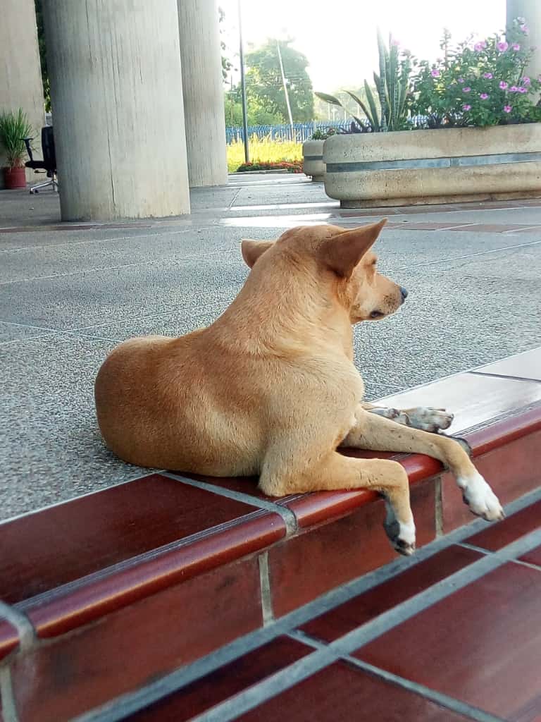 Imagen de WhatsApp 2025-10-09 a las 19.52.15_91d9a7a8.jpg