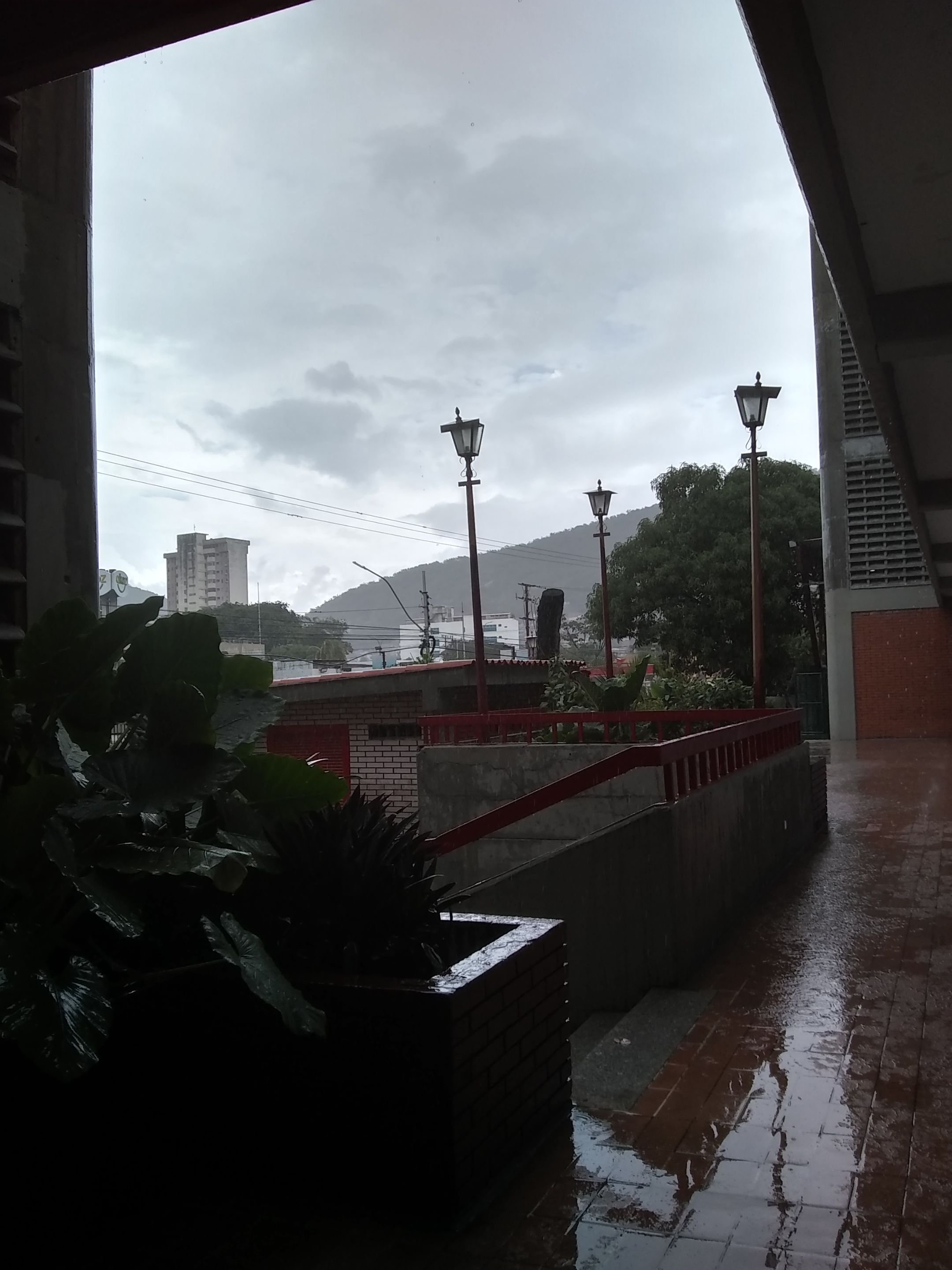 IMG_20240813_130243356_HDR.jpg