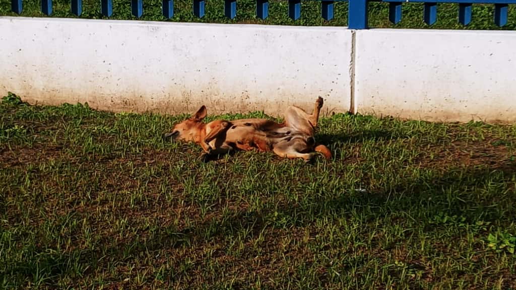 Imagen de WhatsApp 2025-10-06 a las 14.31.46_475e106f.jpg