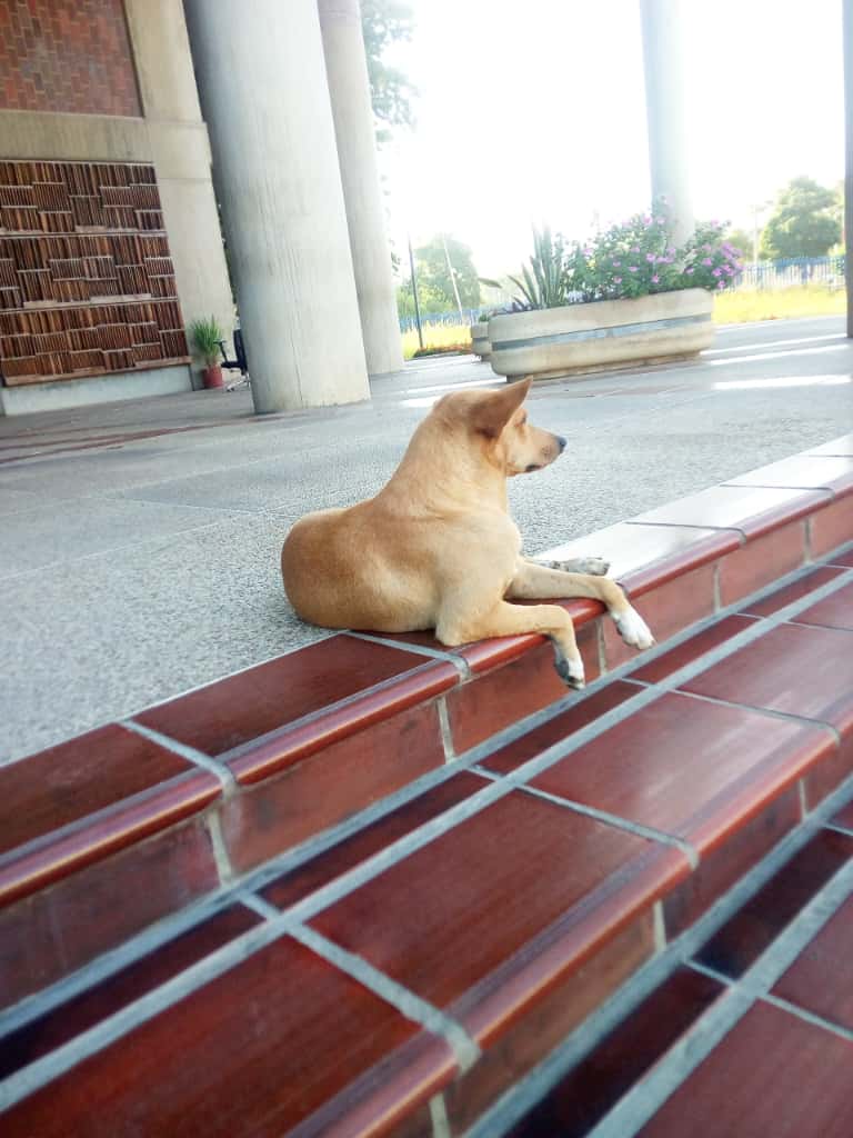 Imagen de WhatsApp 2025-10-09 a las 19.52.15_113c31c2.jpg