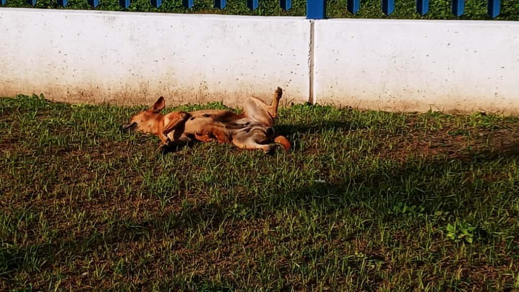 Imagen de WhatsApp 2025-10-06 a las 14.31.44_b435226f.jpg