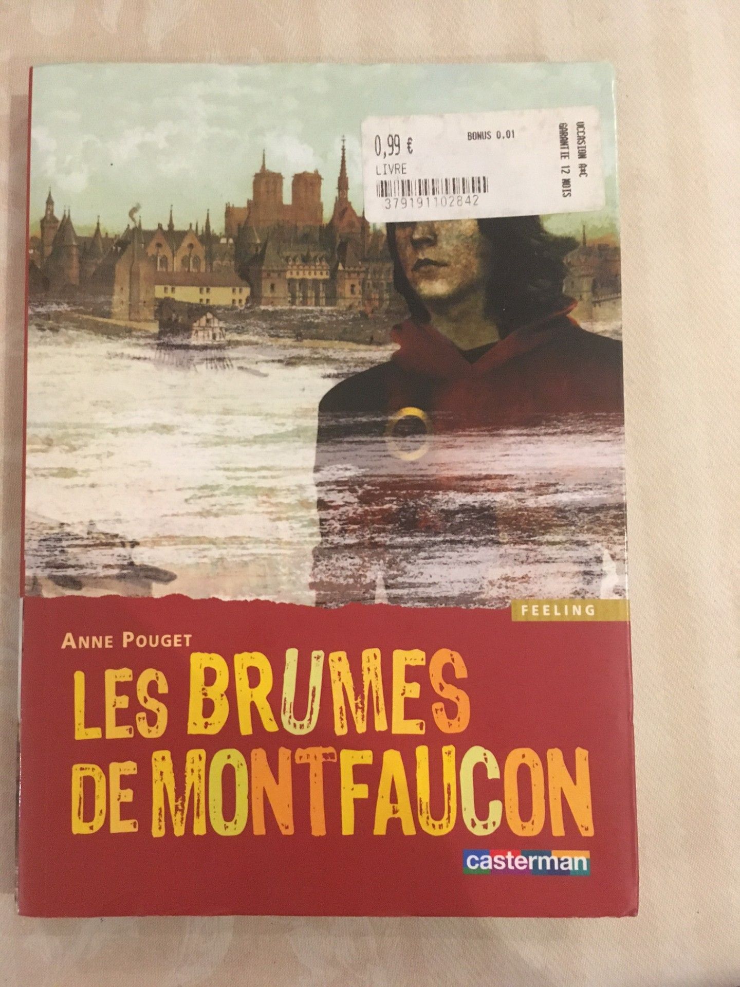 livre A Pouget les brumes de Montfaucon.jpg