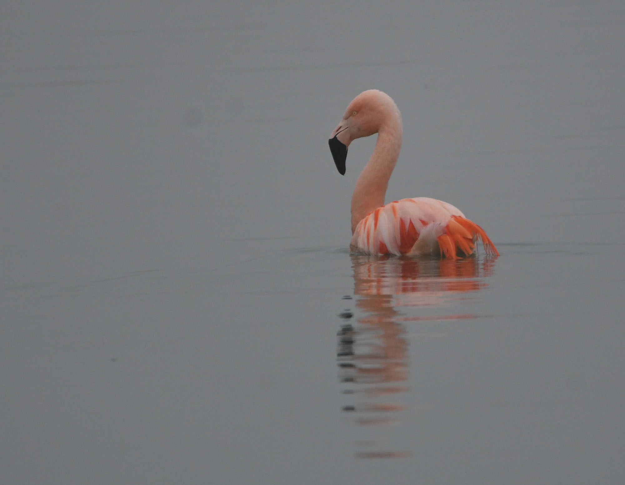DSC_3991.JPG