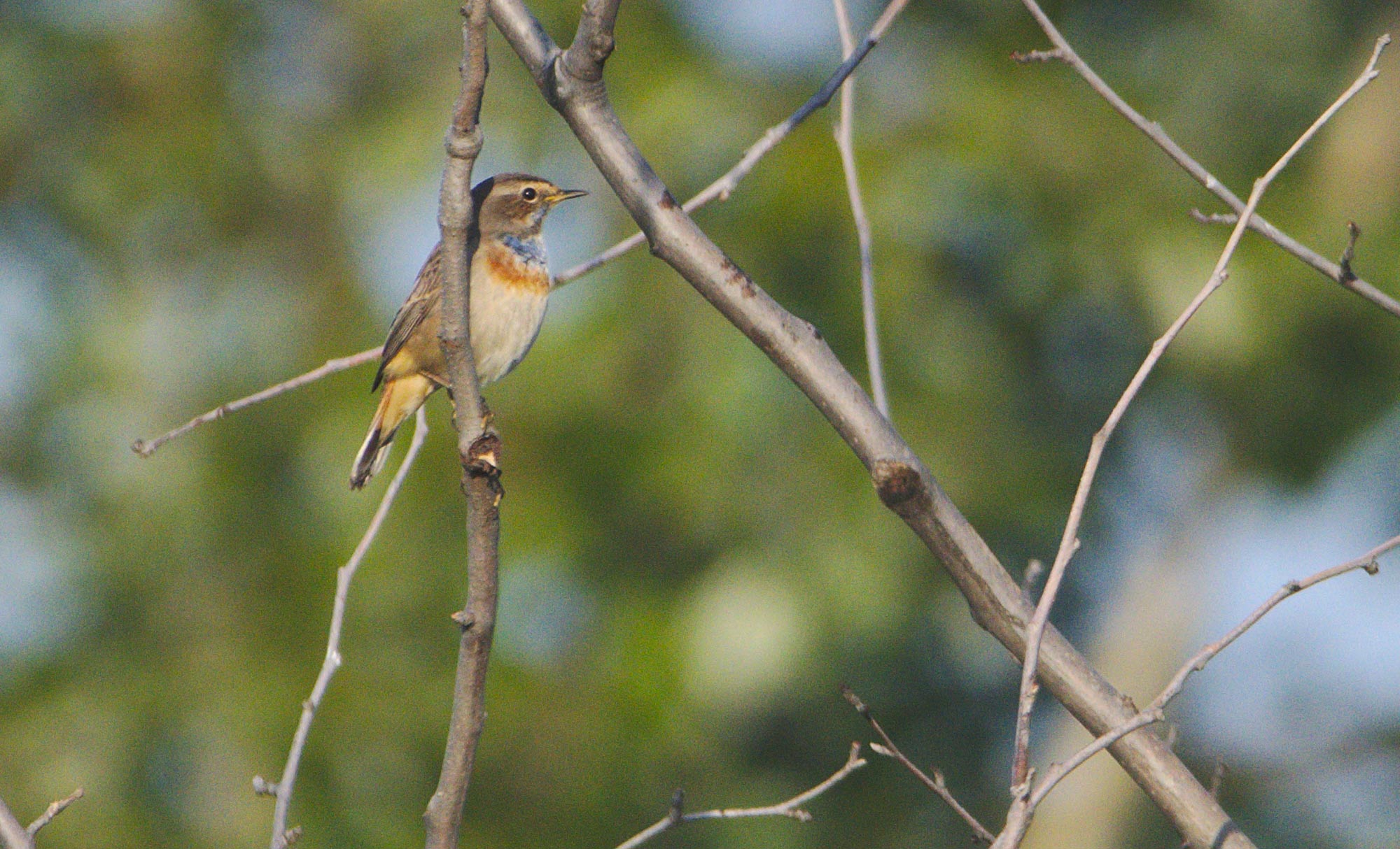 DSC_88879.jpg