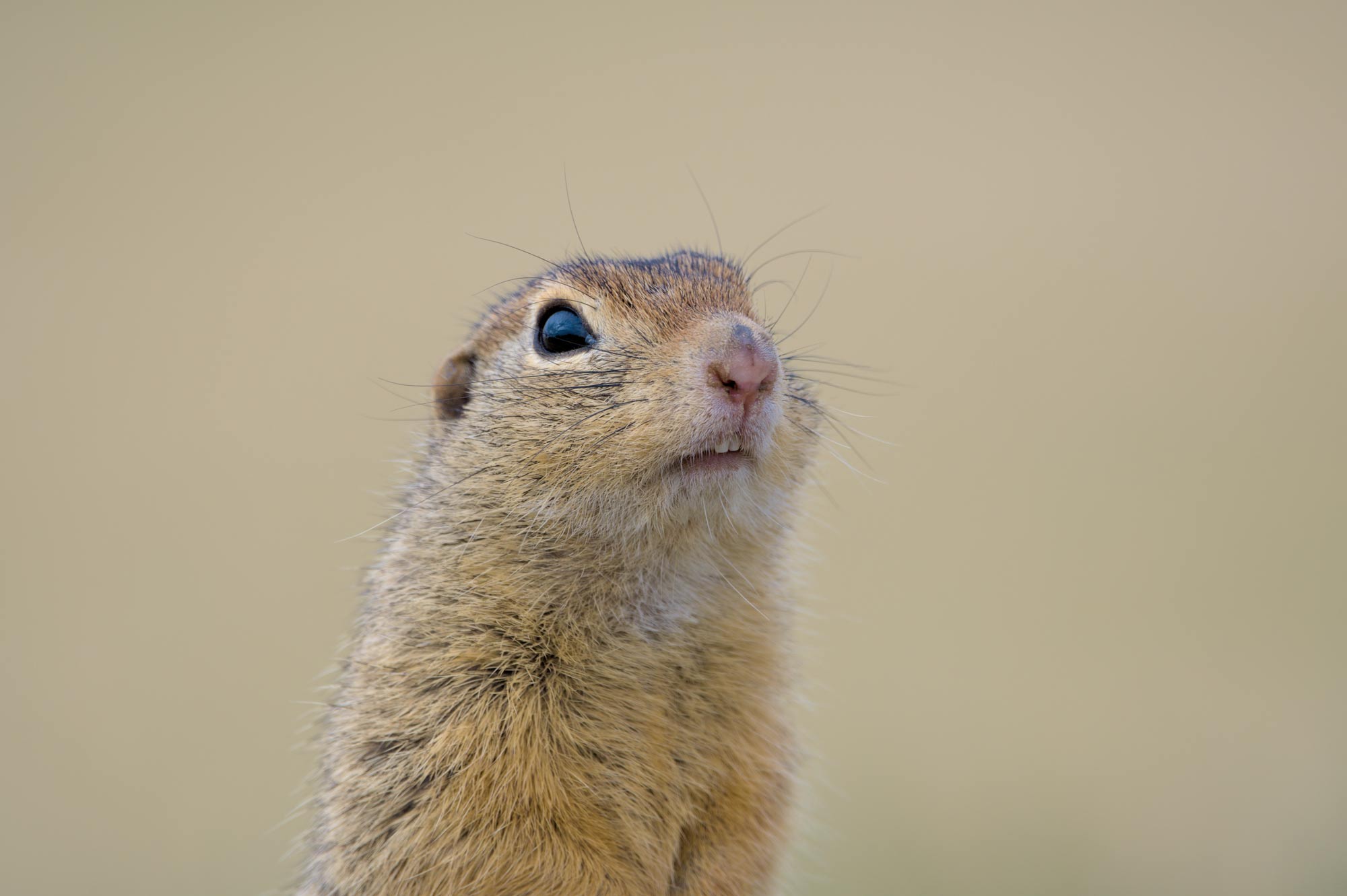 DSC_4454.jpg