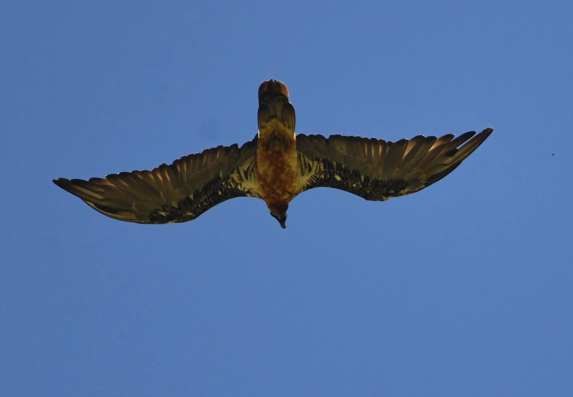 DSC_5632.jpg