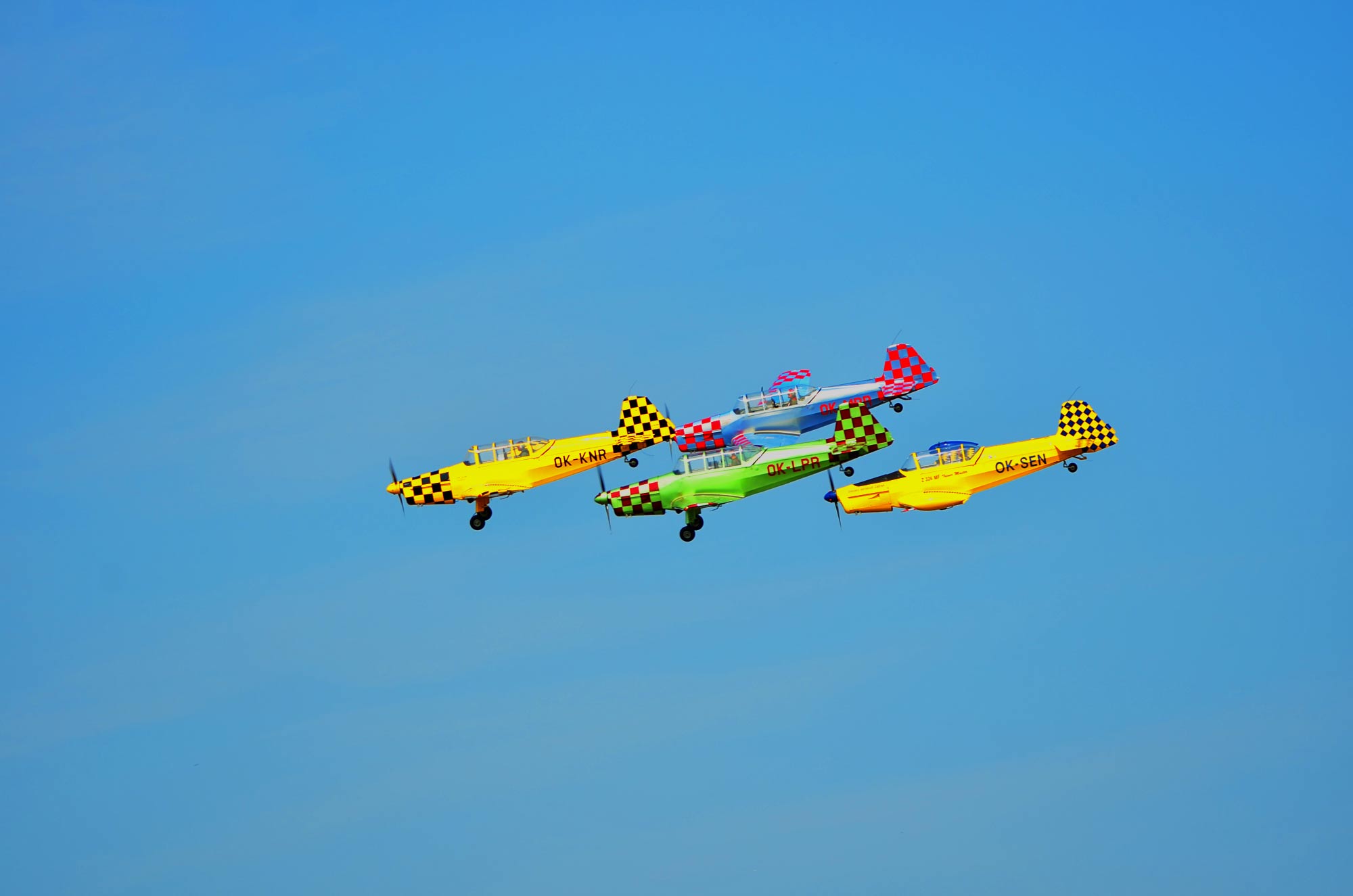 DSC_7452.jpg