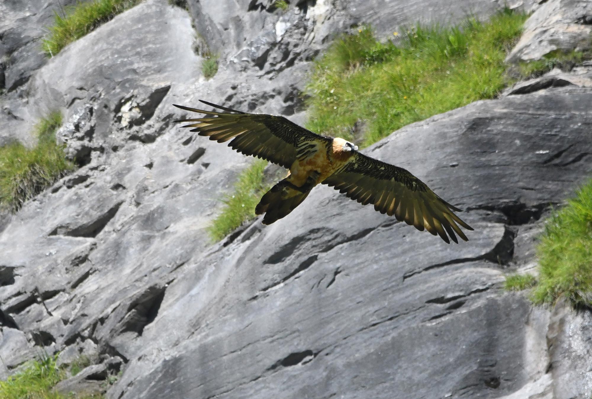 DSC_5827.jpg