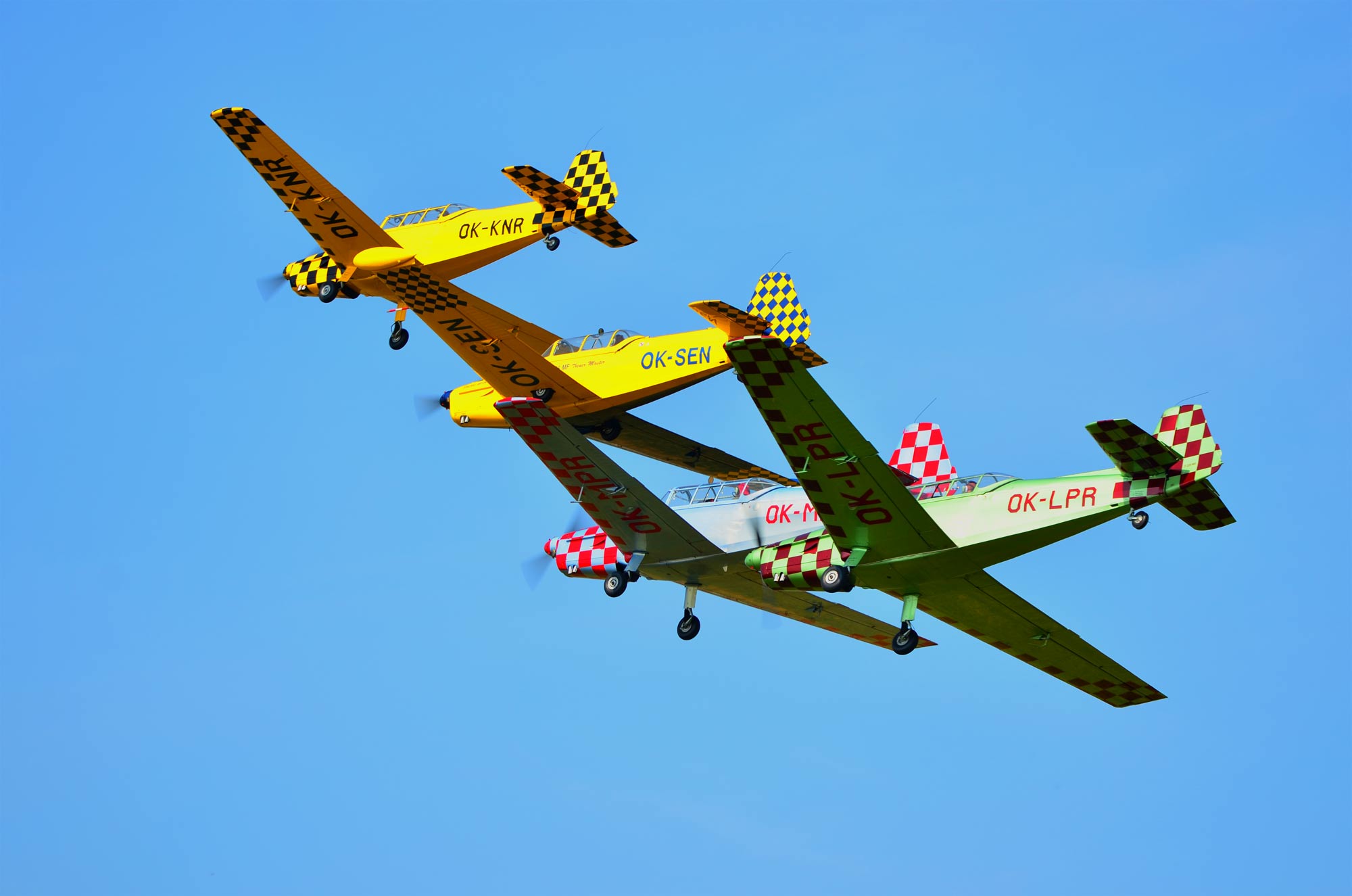 DSC_7610.jpg