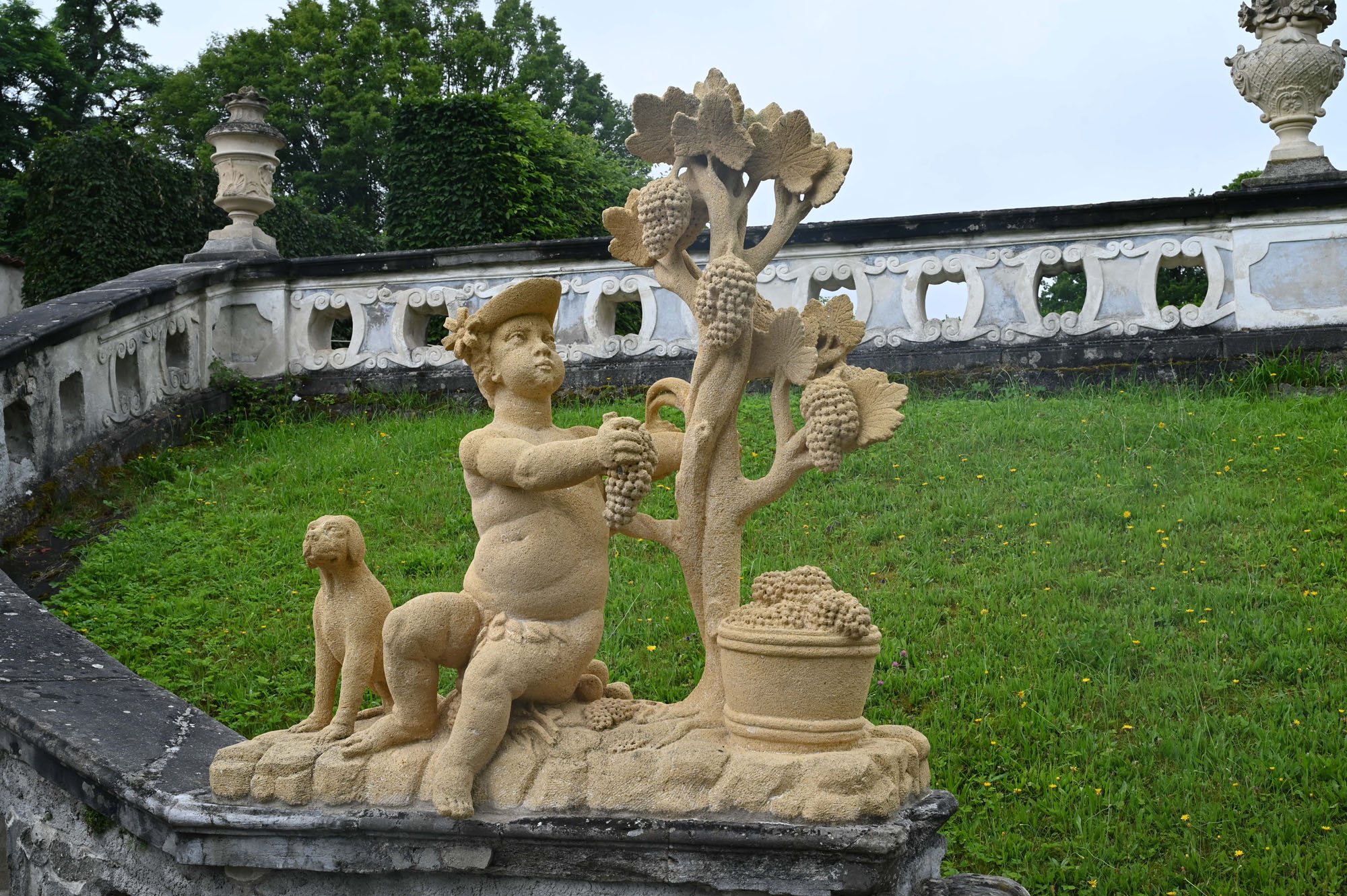 Z62_9040.jpg