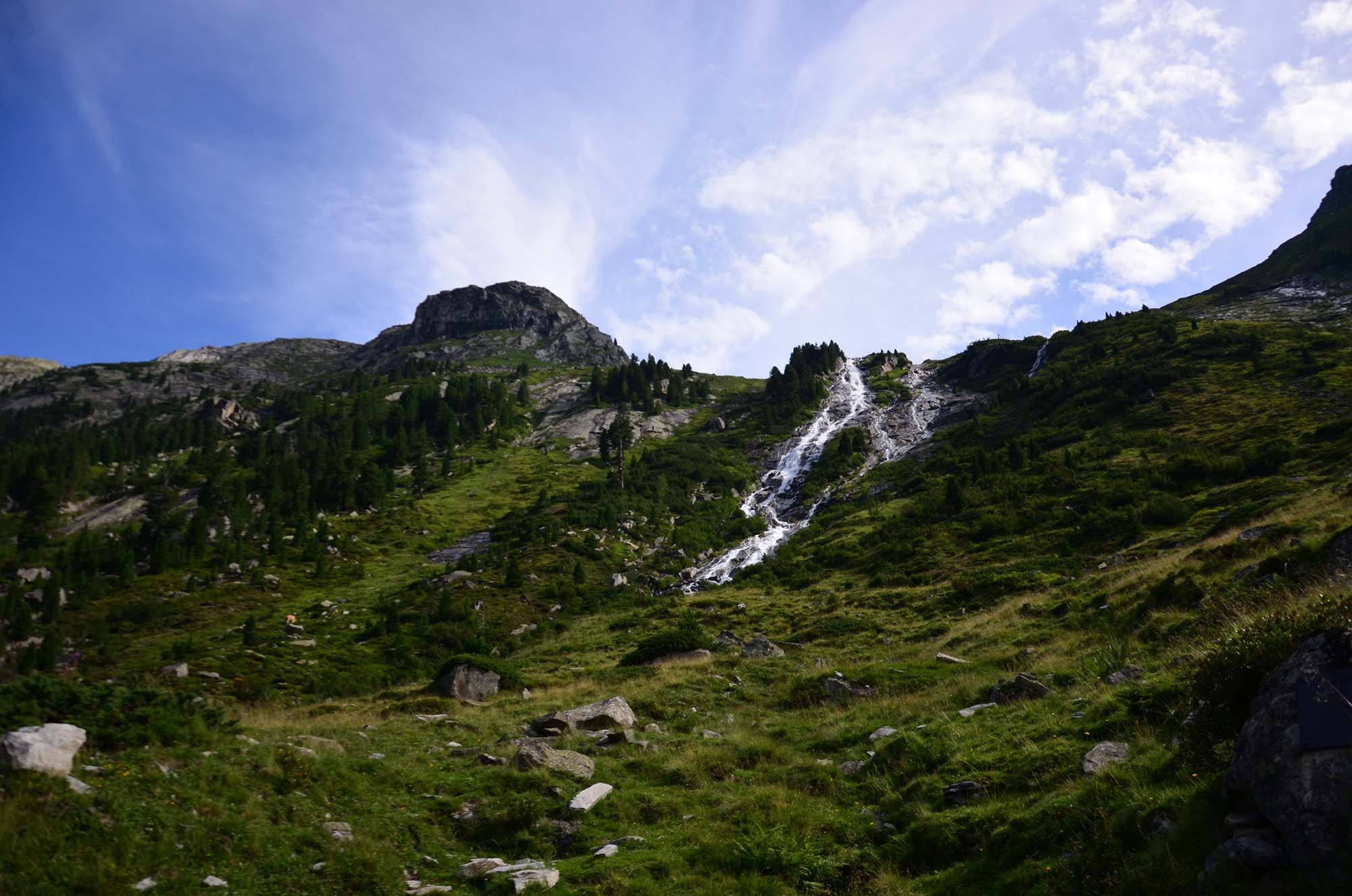 DSC_3723.jpg