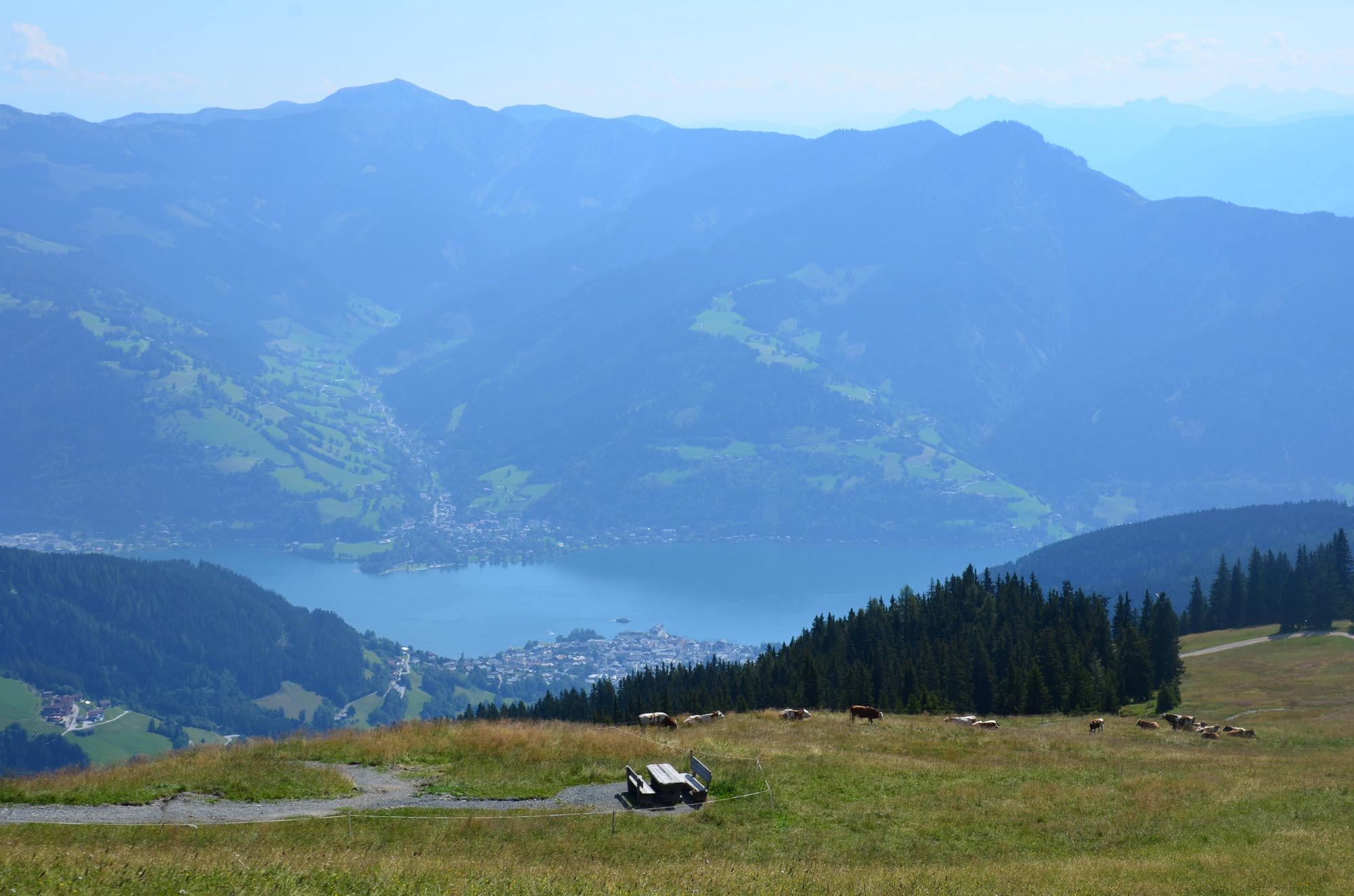 DSC_5779.jpg