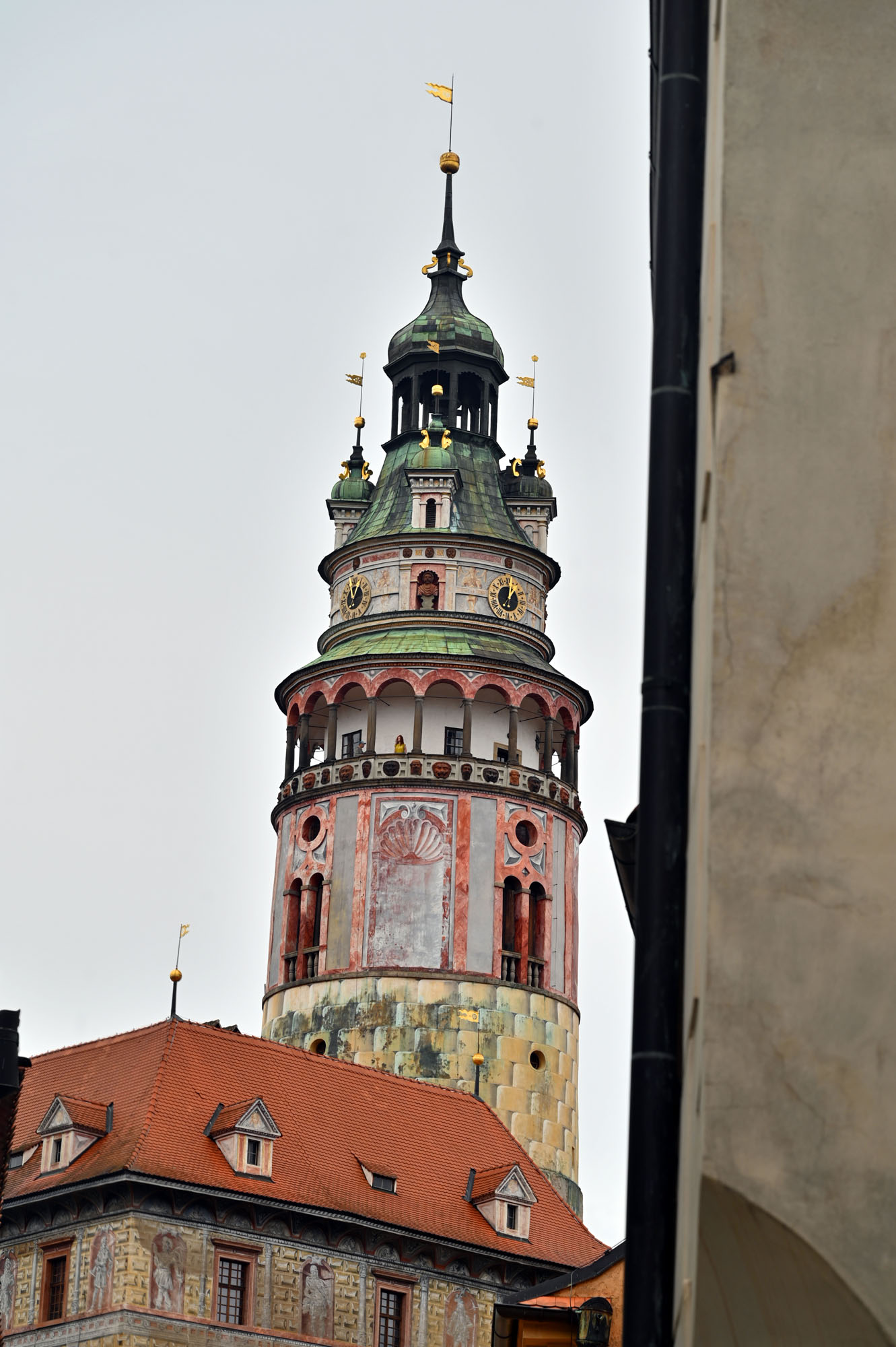 Z62_8852.JPG