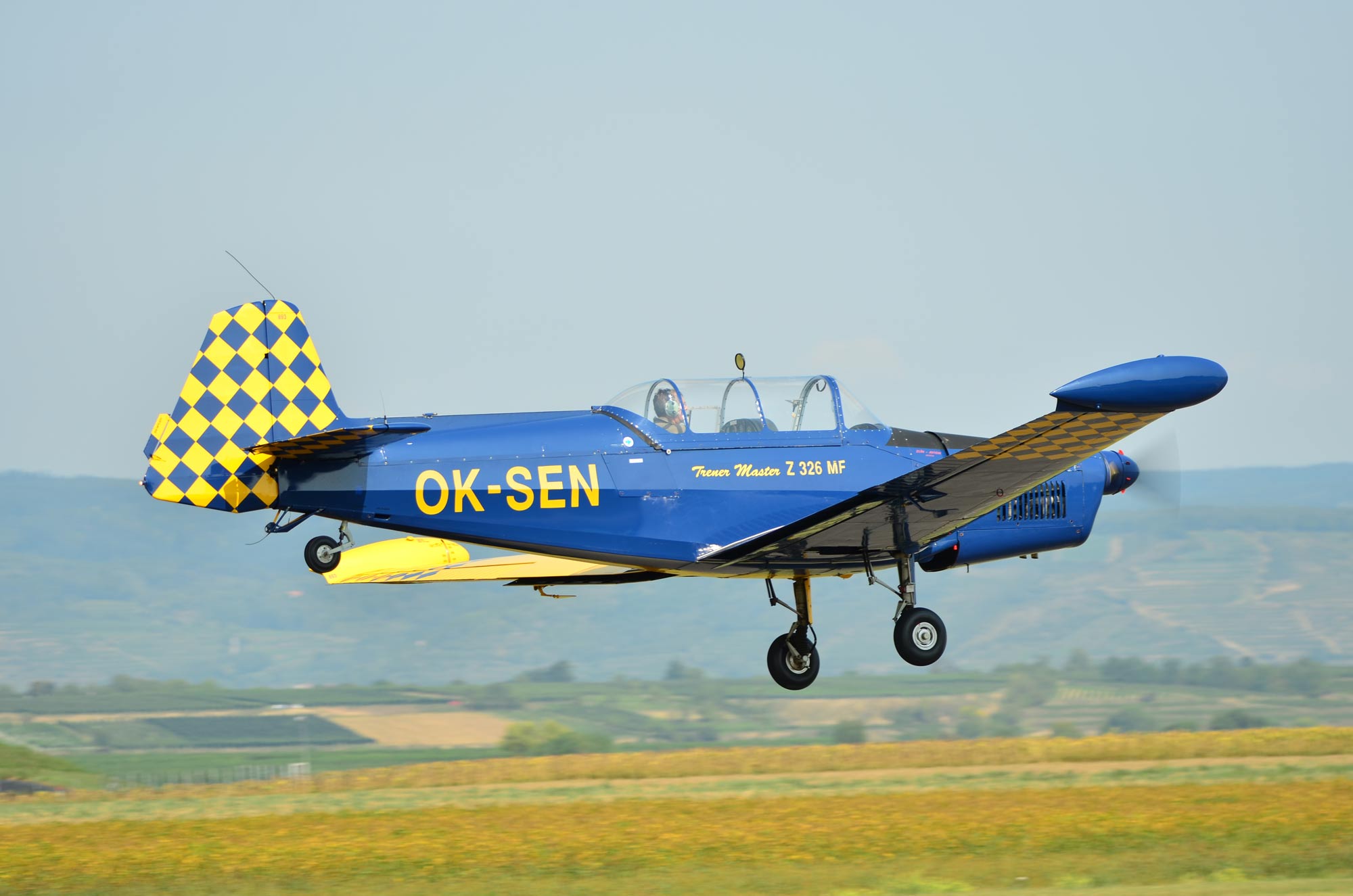 DSC_7443.jpg