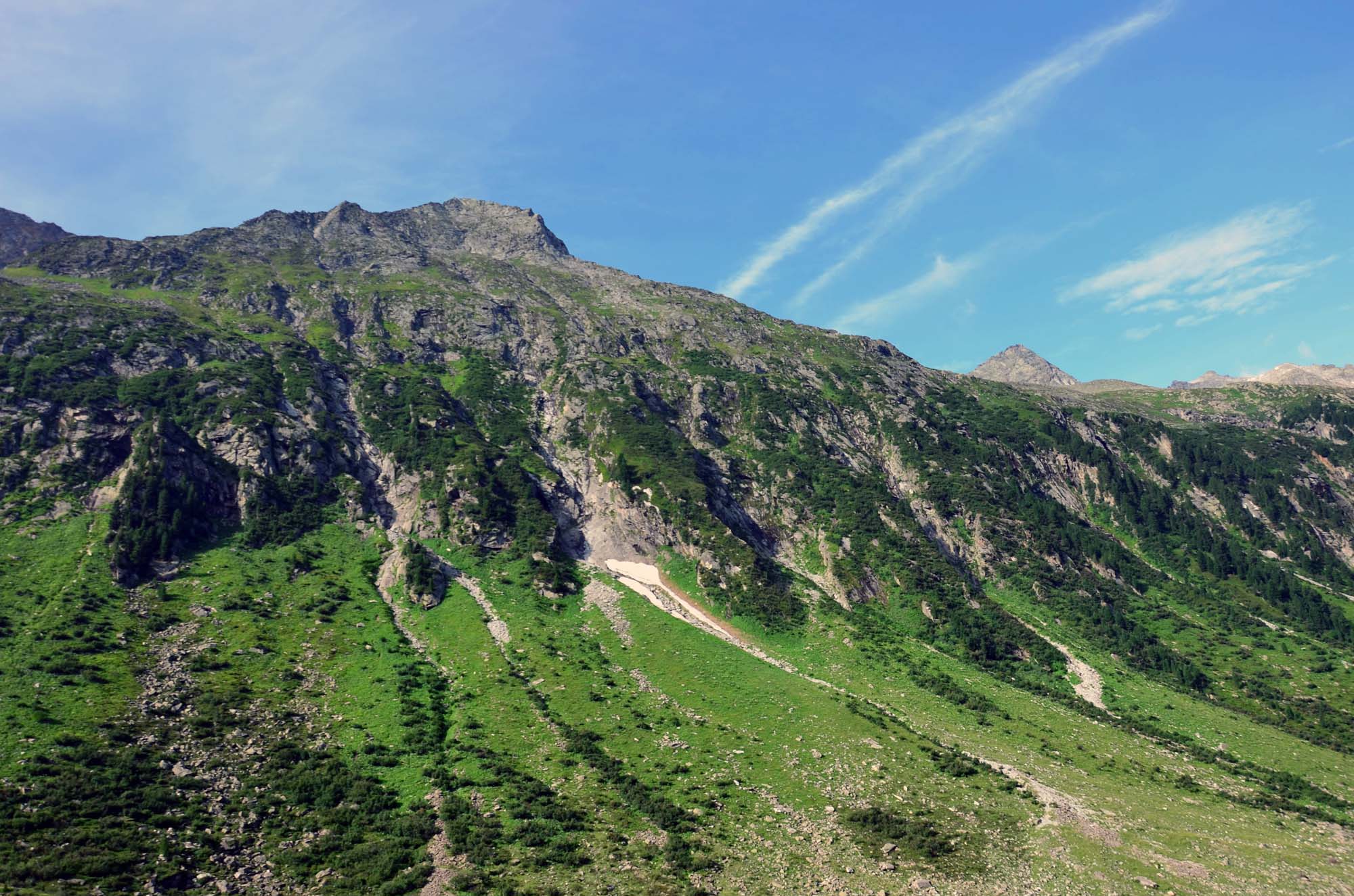 DSC_3731.jpg