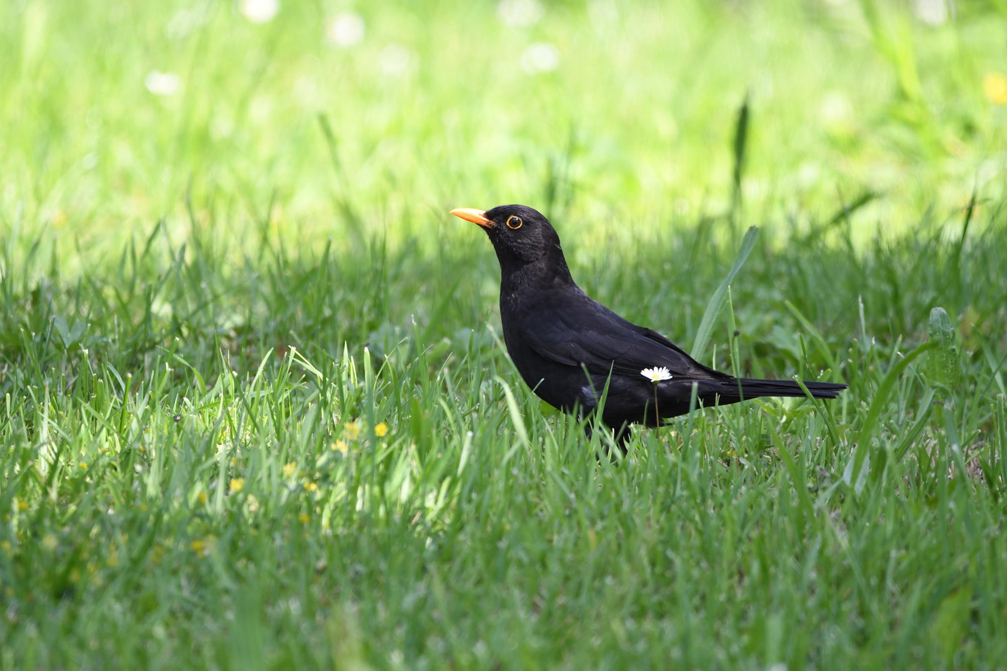DSC_3444.jpg