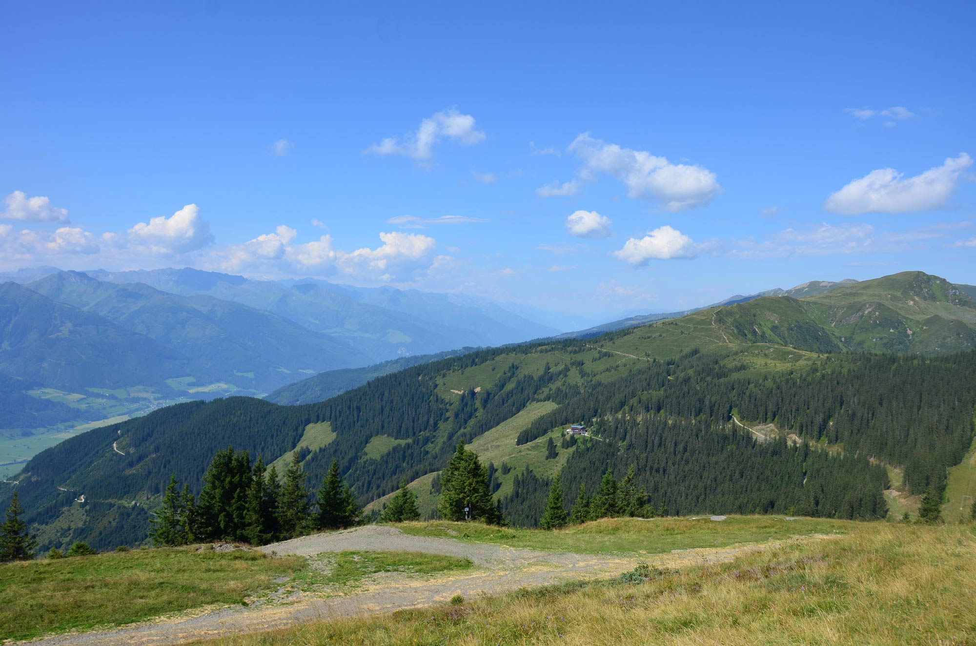 DSC_5772.jpg