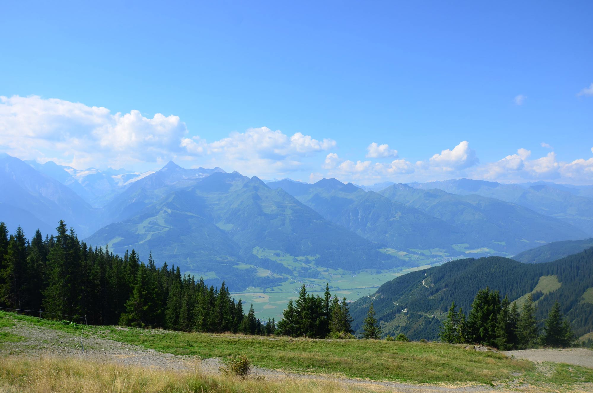 DSC_5771.jpg