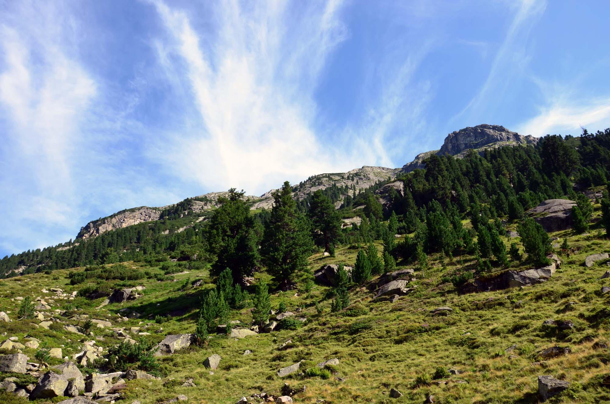 DSC_3774.jpg