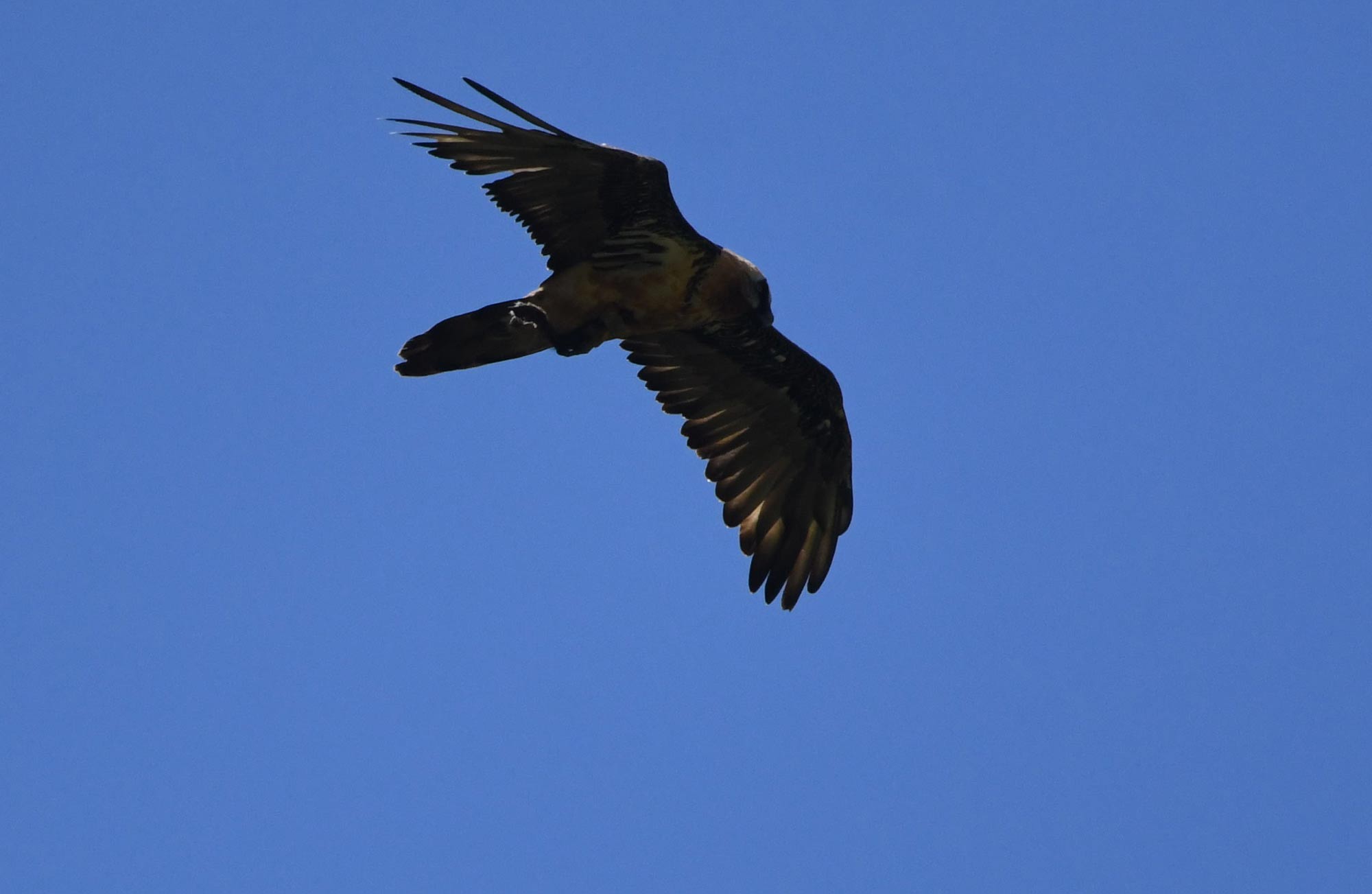 DSC_5789.jpg