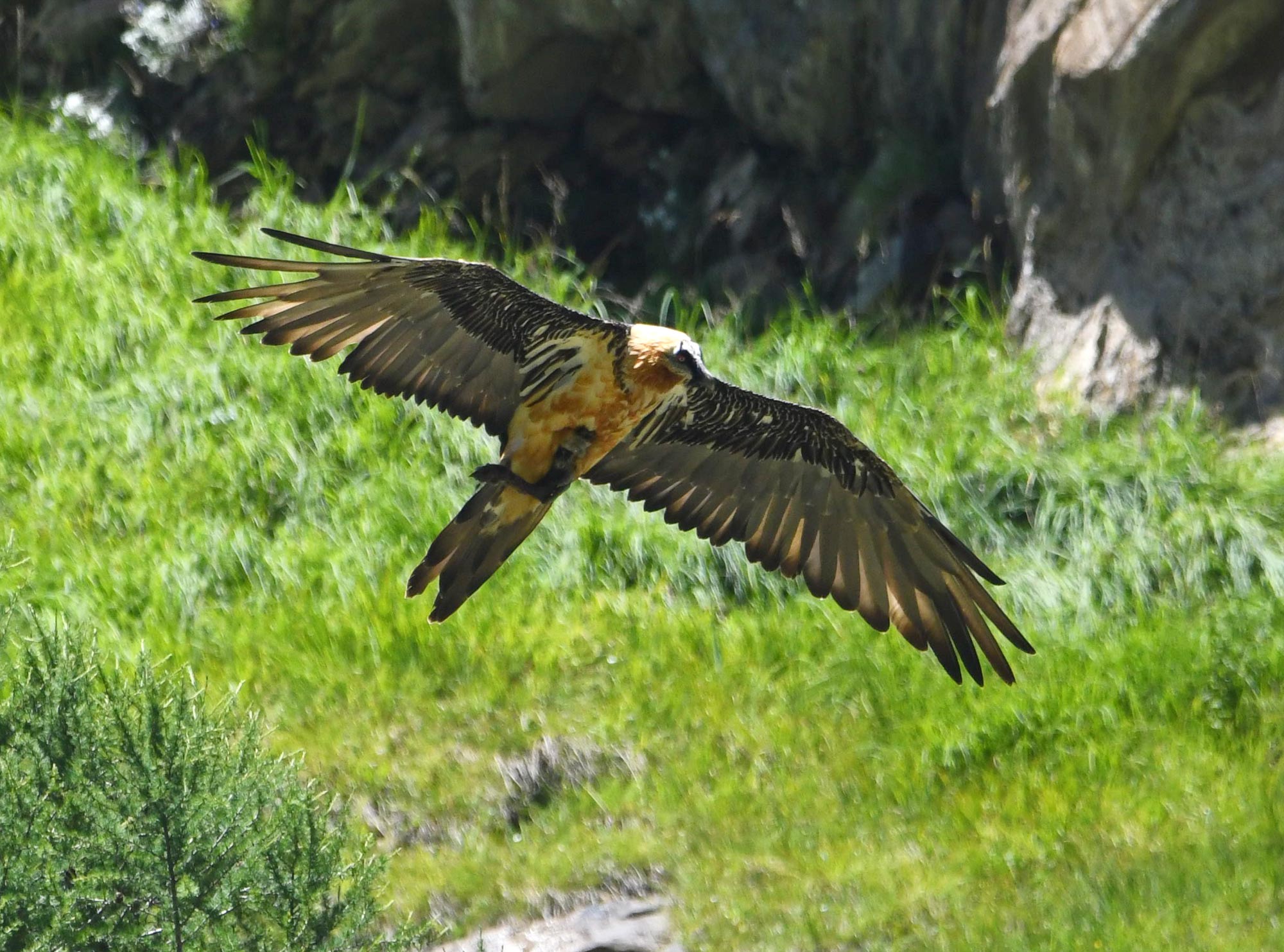 DSC_5842.jpg