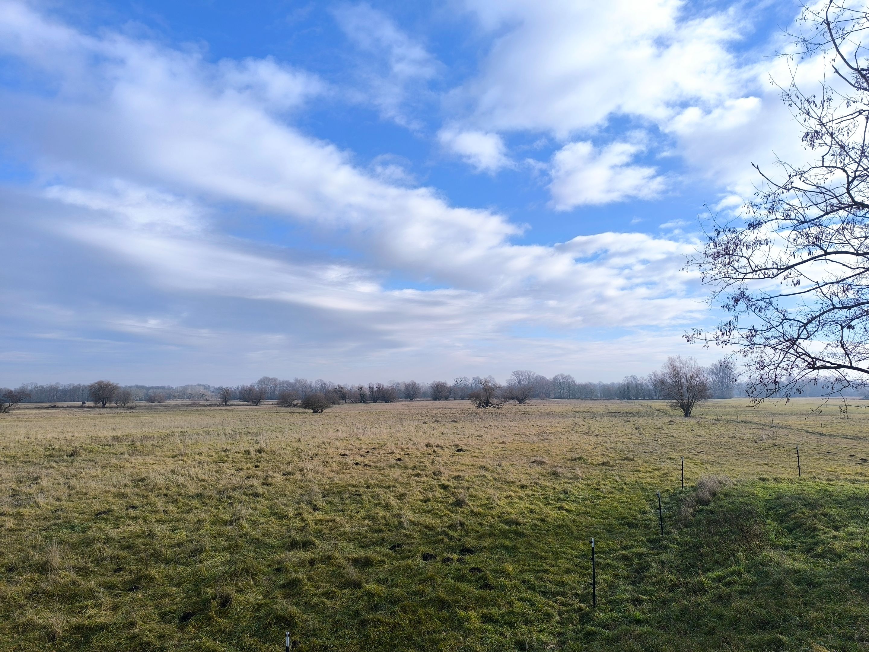 IMG_20250124_110647.jpg