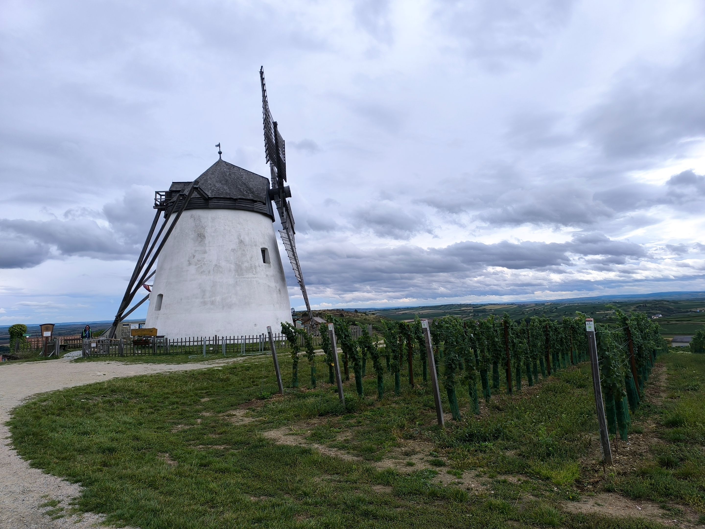 IMG_20250914_135506.jpg