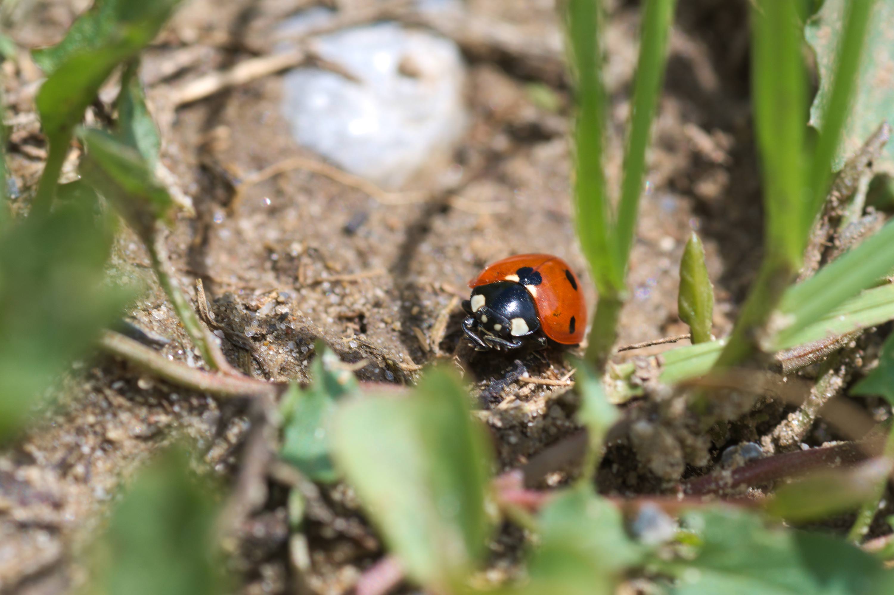 DSC_9637.jpg