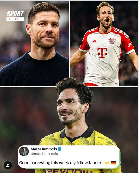 Hummels.PNG