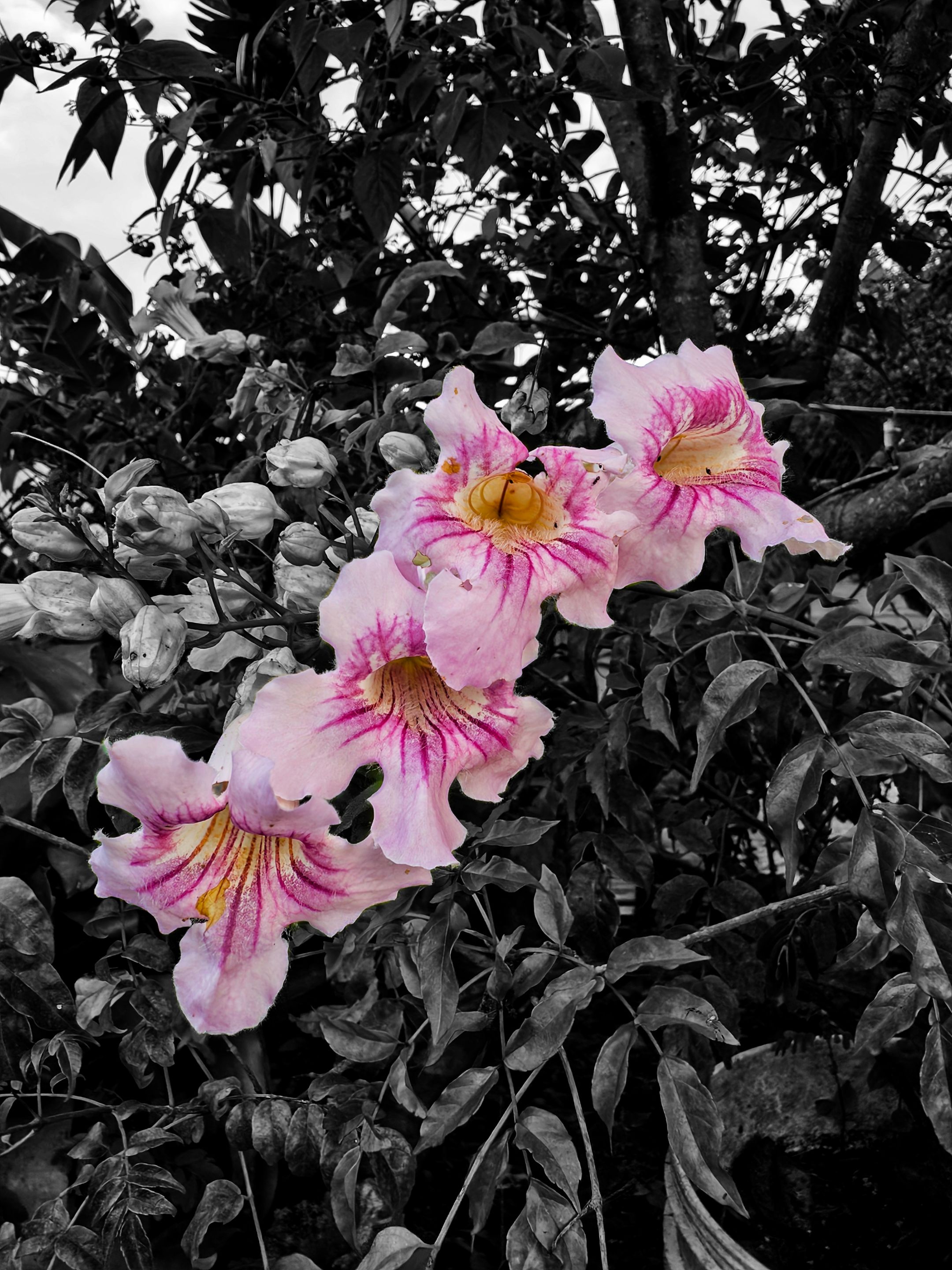 23vhsRWU7DXxyrAFhGmHMyFymF2GyeQuFSPMWxaWqDmTpzcf3dH4J9aDwq3hhCdx89SAR.jpg