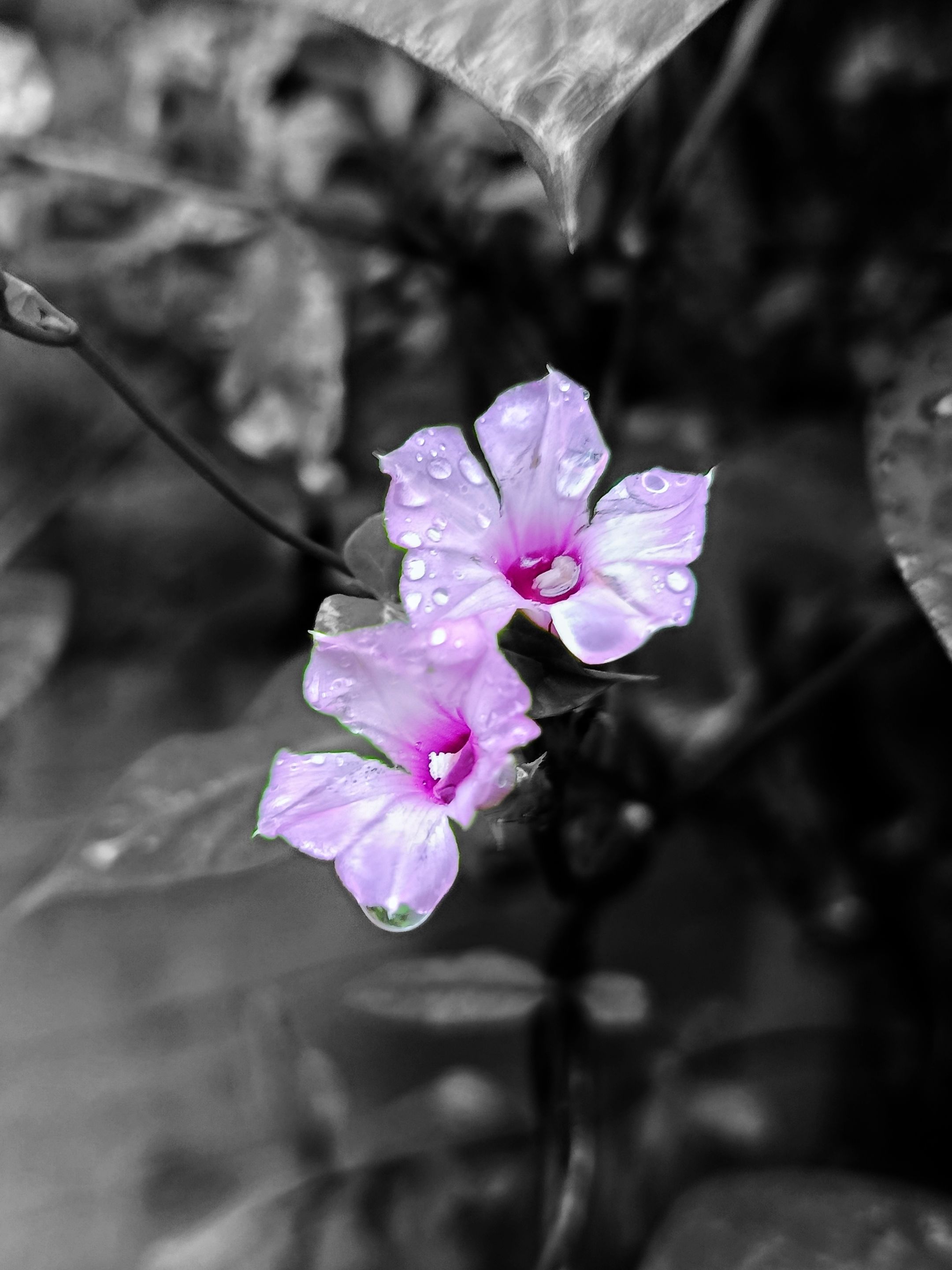 23wC1PNTADi3VcjThx38X6LBVBkLQXo6tThqKEs2NLFQXJP4k7DFp7k84fn5Czrncm3Xu.jpg