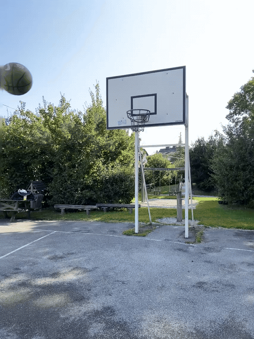 20250806.gif