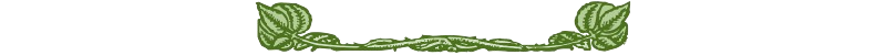 Blatt.balken.png