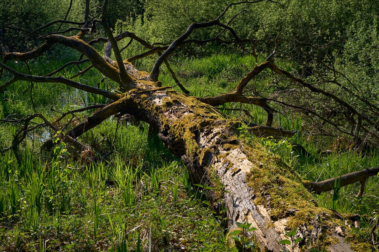 fotofun-RSP_0459-23-05-11.jpg