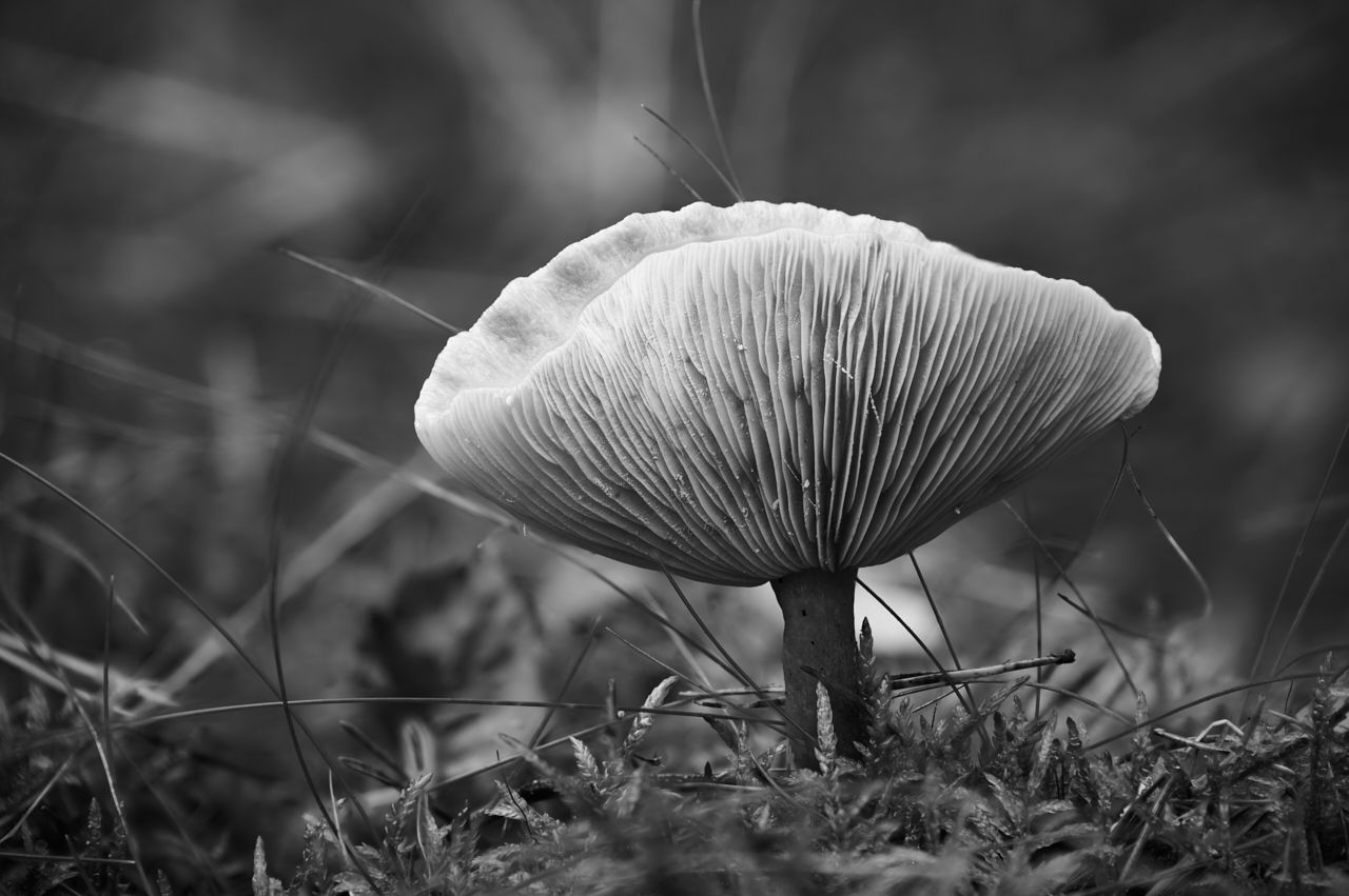 fotofun-RSP_7495.jpg