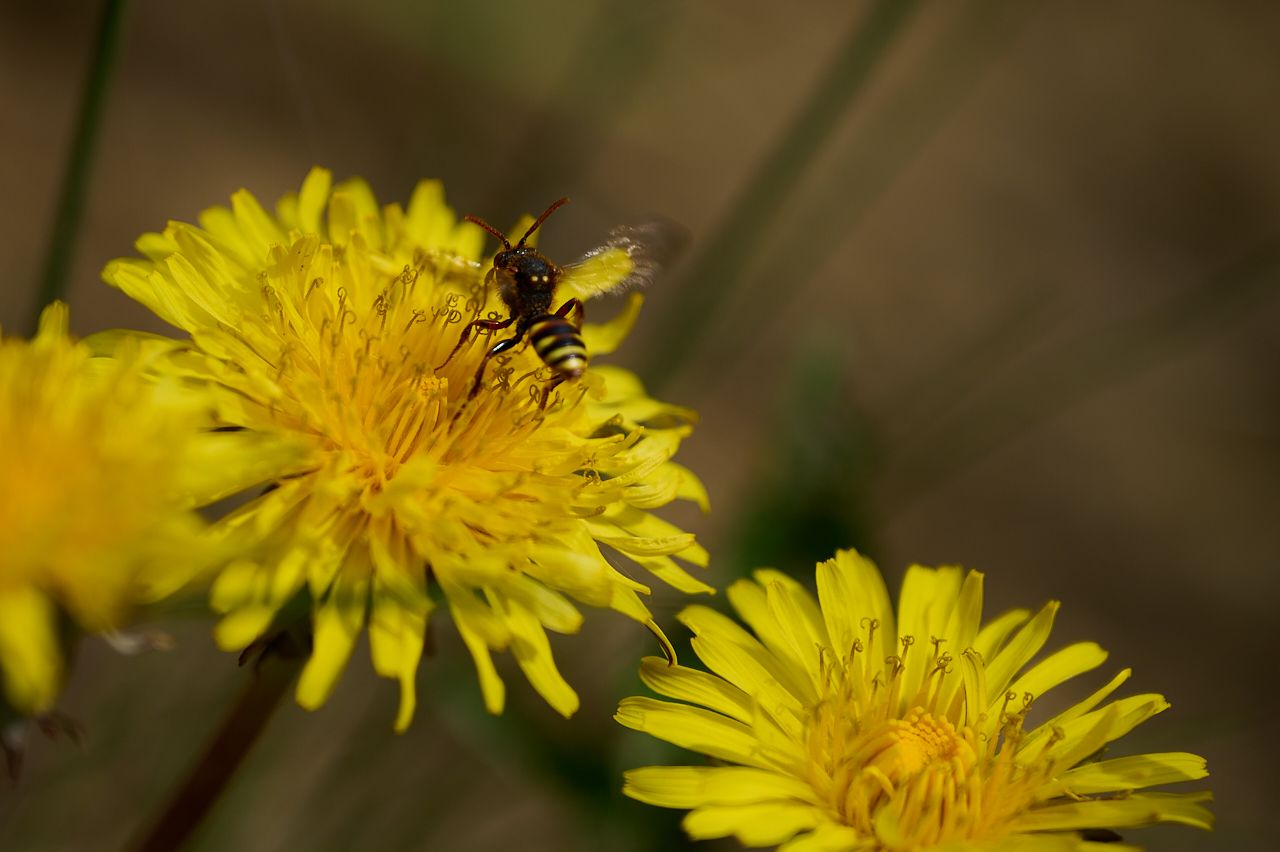 fotofun-RSP_0204-23-05-04.jpg
