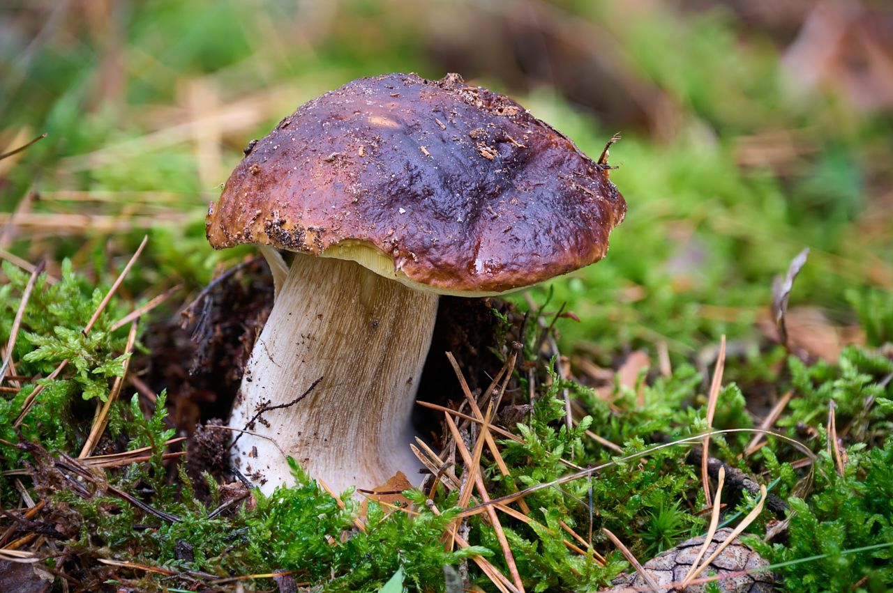 fotofun-RSP_7259.jpg